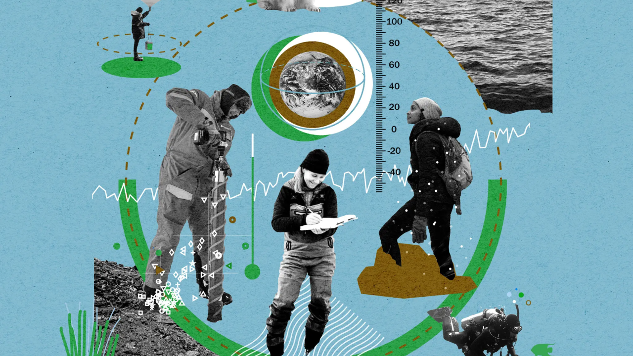 Private doubts, collective conformity: the Power and fragility of climate narratives