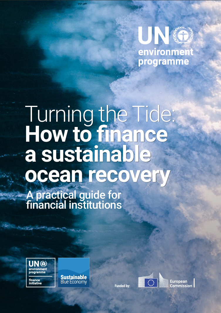Turning the tide: How to finance a sustainable ocean recovery