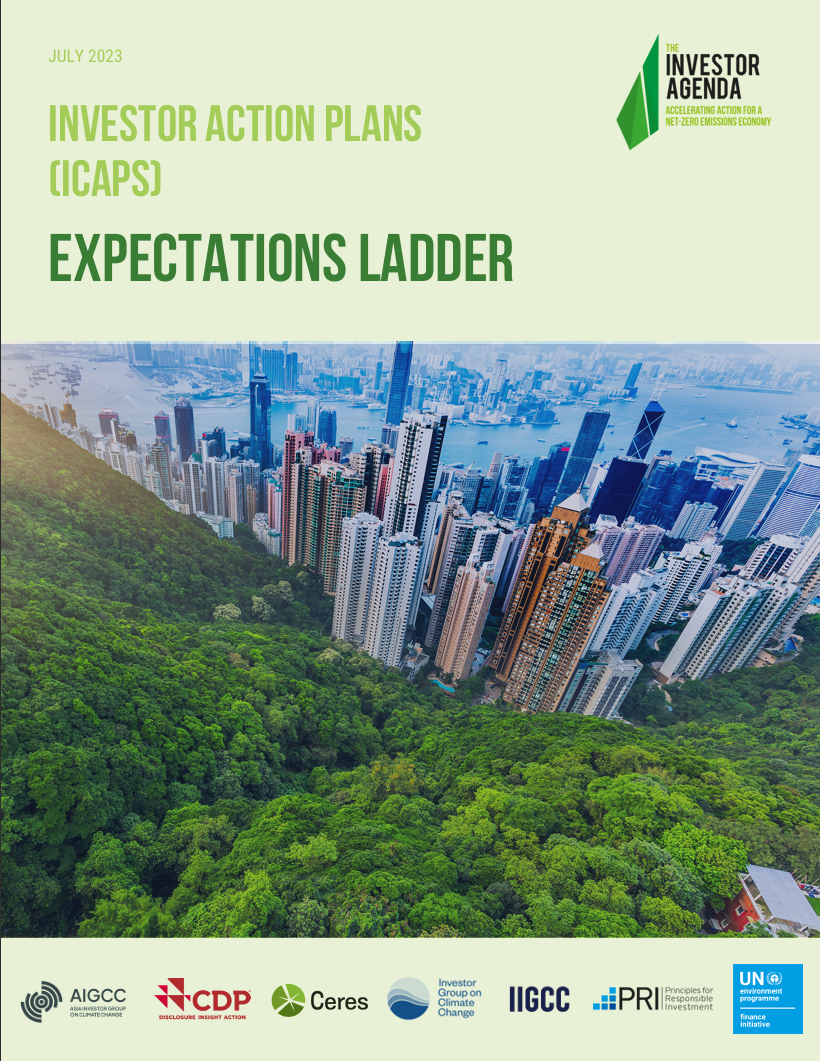 Investor action plans (ICAPs): Expectations ladder