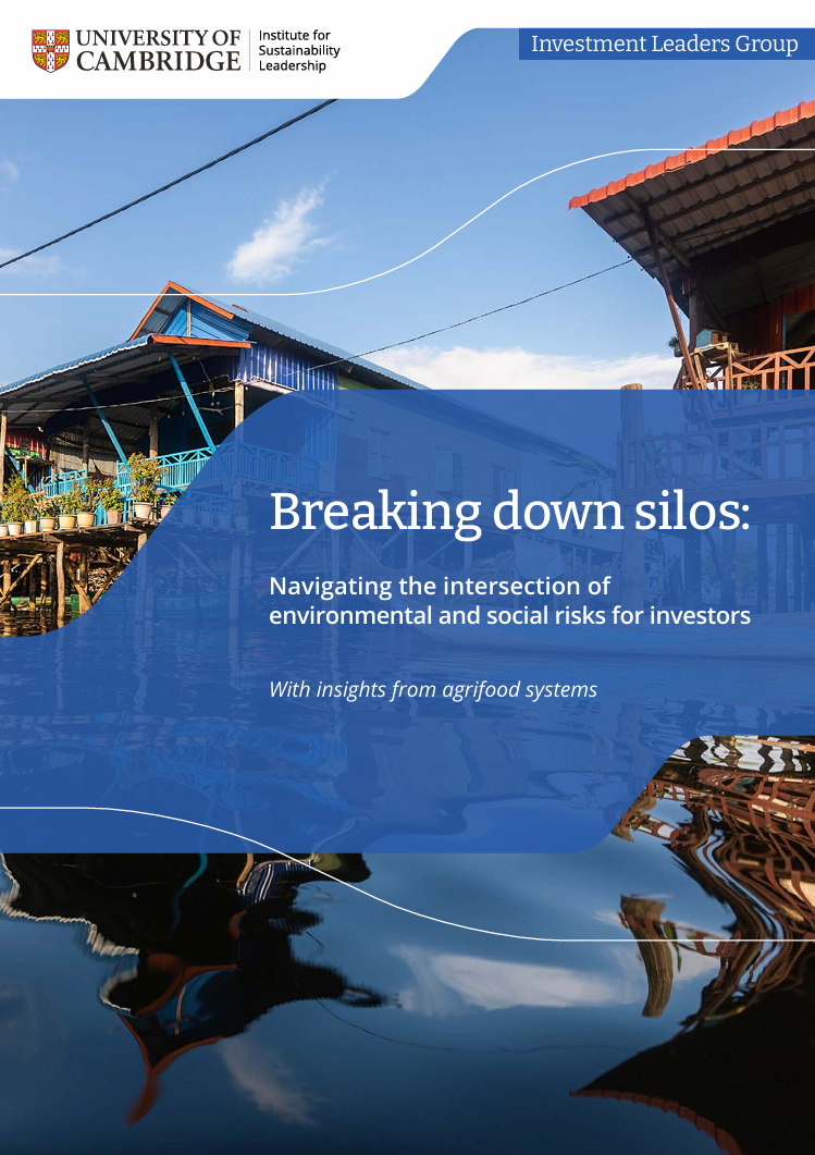 Breaking down silos: Navigating the intersection of environmental and social risks for investors