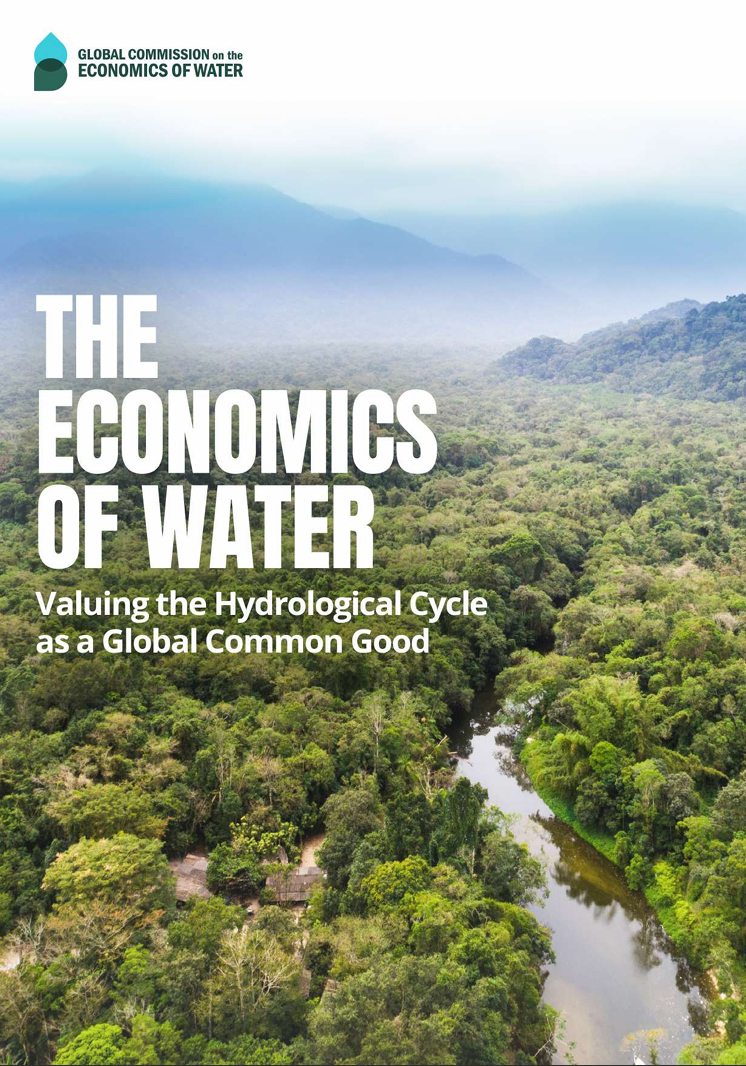 The economics of water: Valuing the hydrological cycle as a global common good
