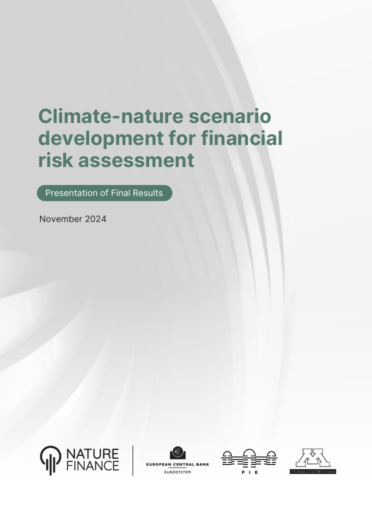 Climate-nature scenario development for financial risk assessment