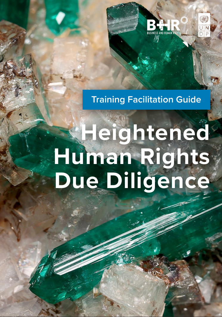 Heightened human rights due diligence