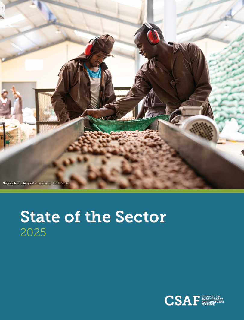 State of the sector series