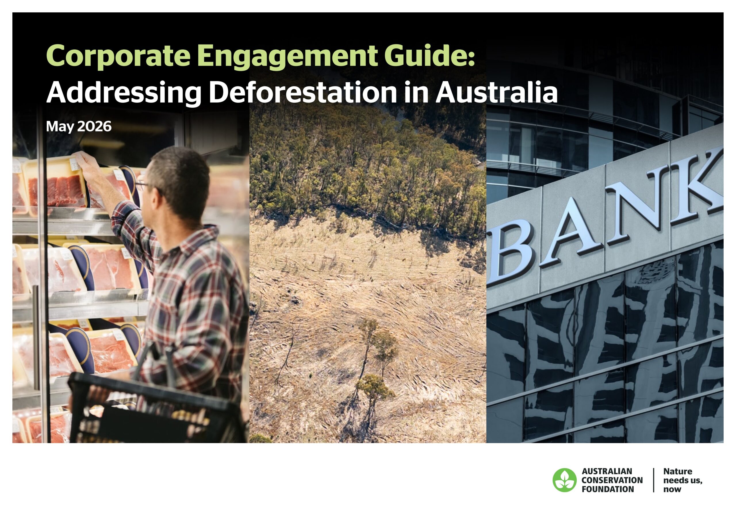 Corporate Engagement Guide: Addressing Deforestation in Australia