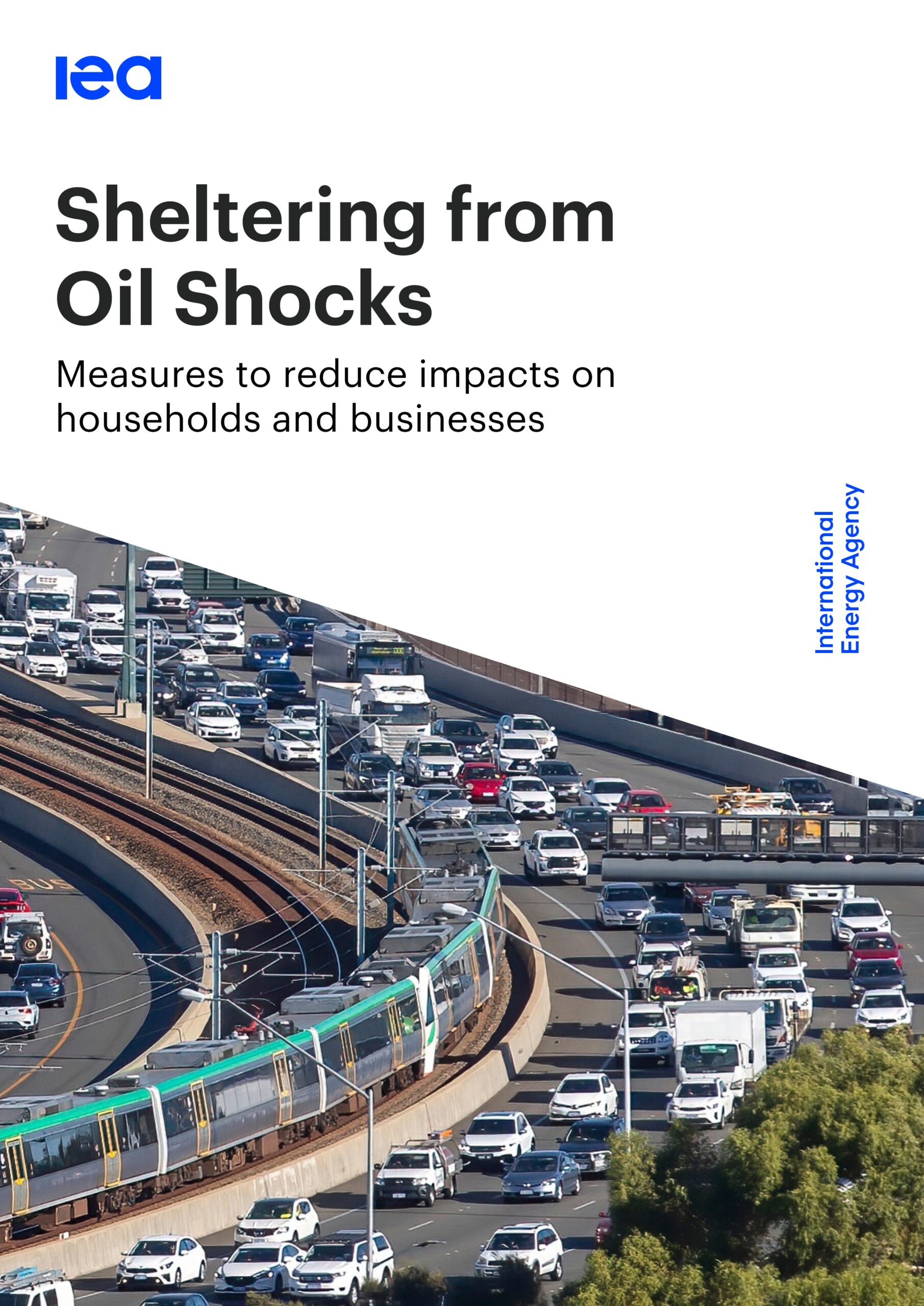 Sheltering from oil shocks: Measures to reduce impacts on households and businesses
