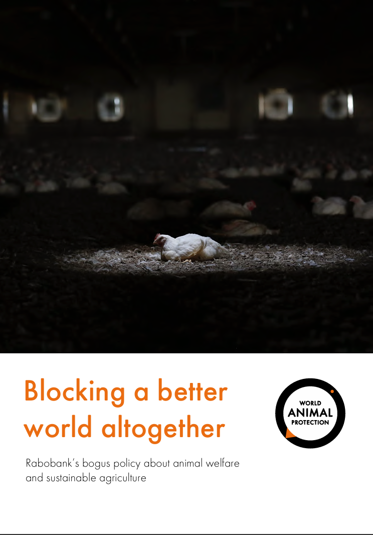 Blocking a better world altogether: Rabobank’s bogus policy about animal welfare and sustainable agriculture