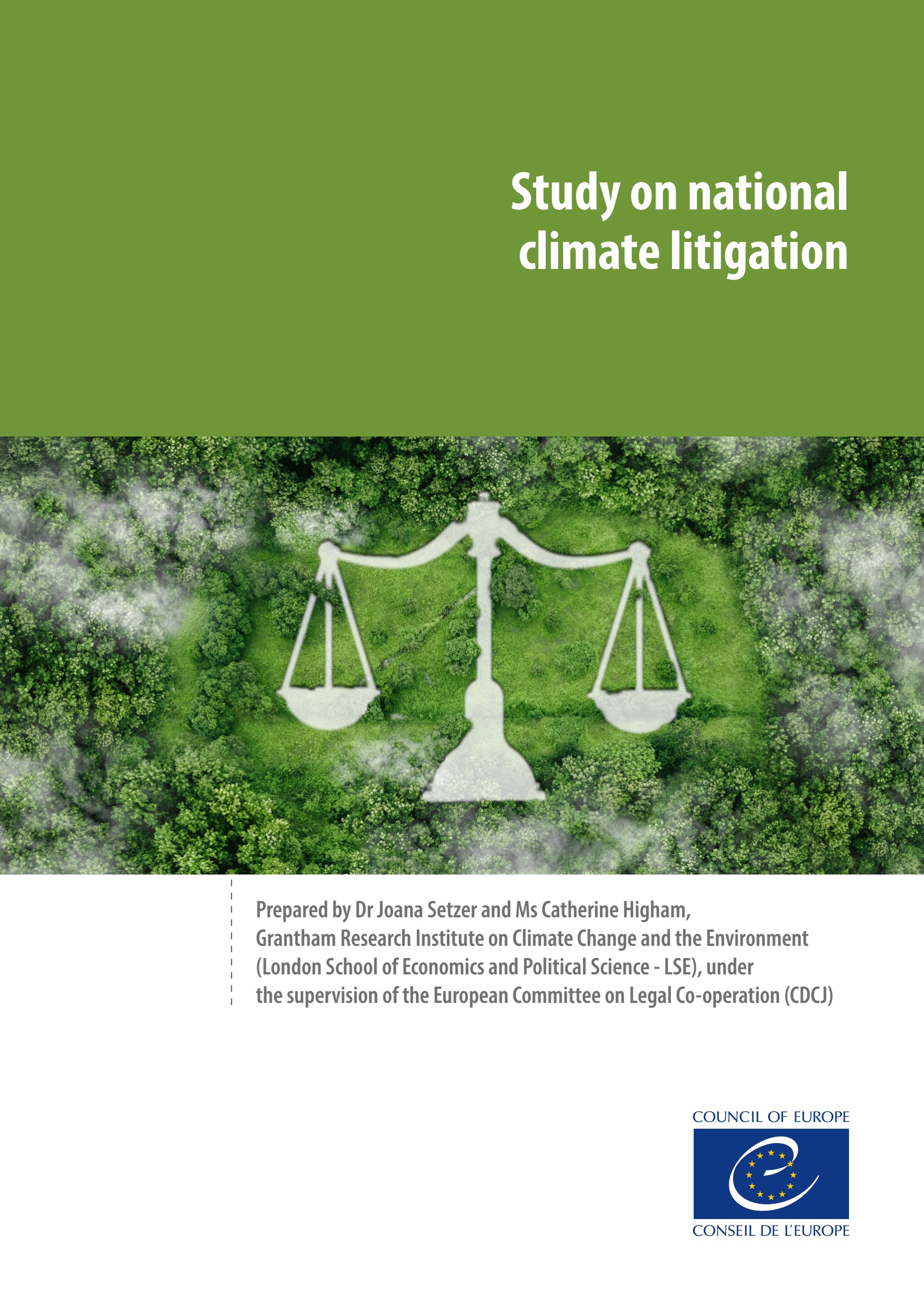 Study on national climate litigation