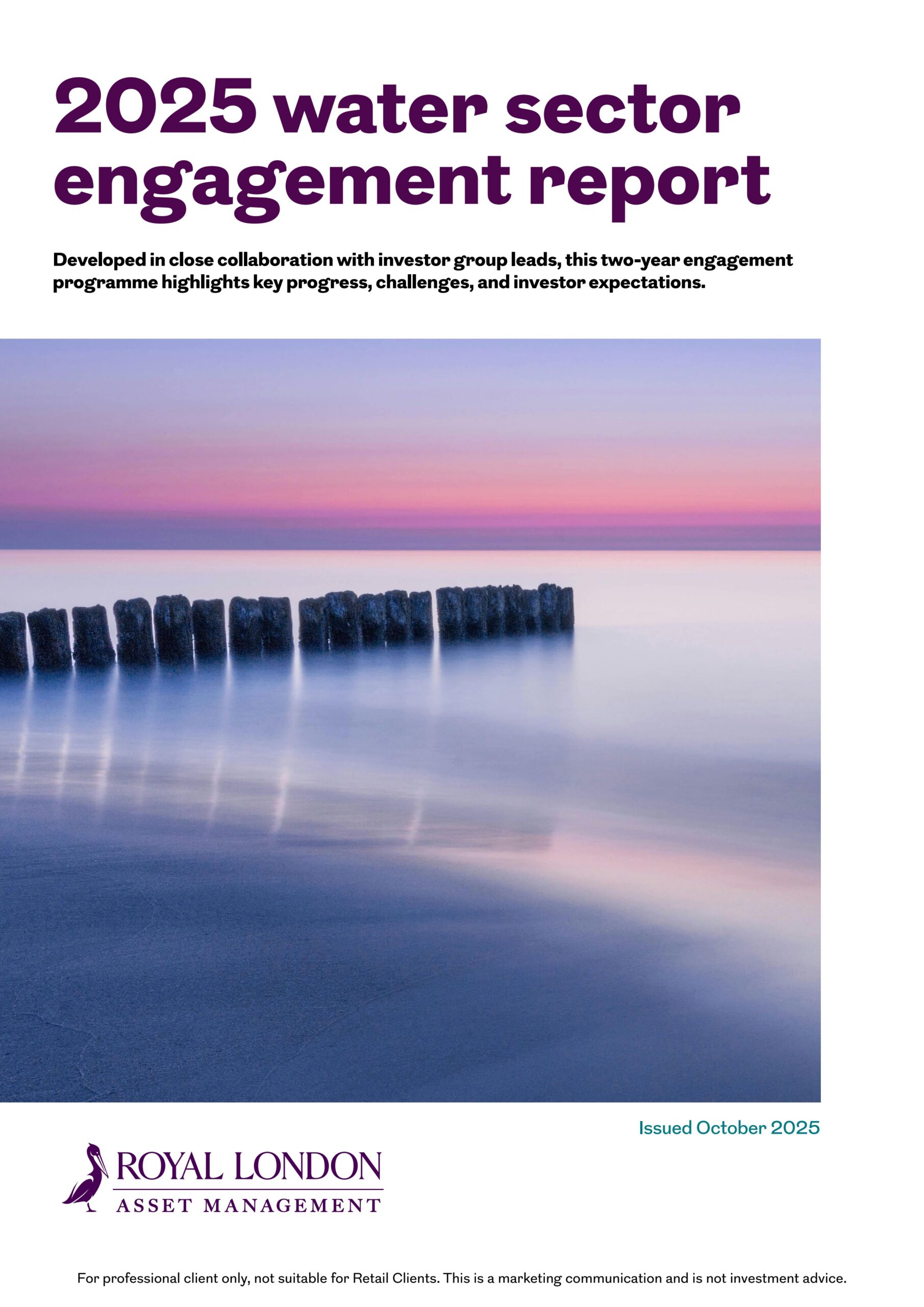 2025 Water sector engagement report
