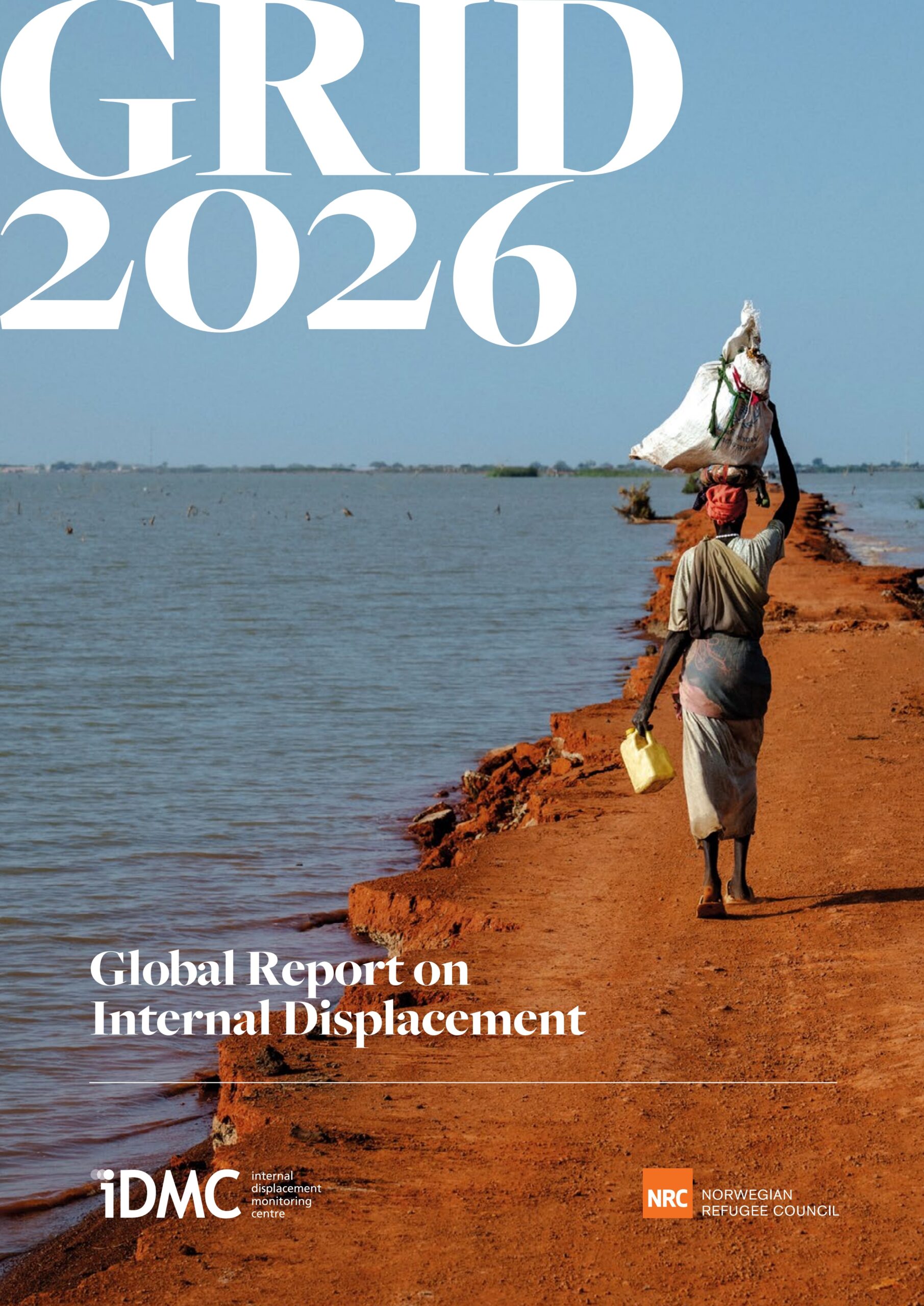 Global report on internal displacement series