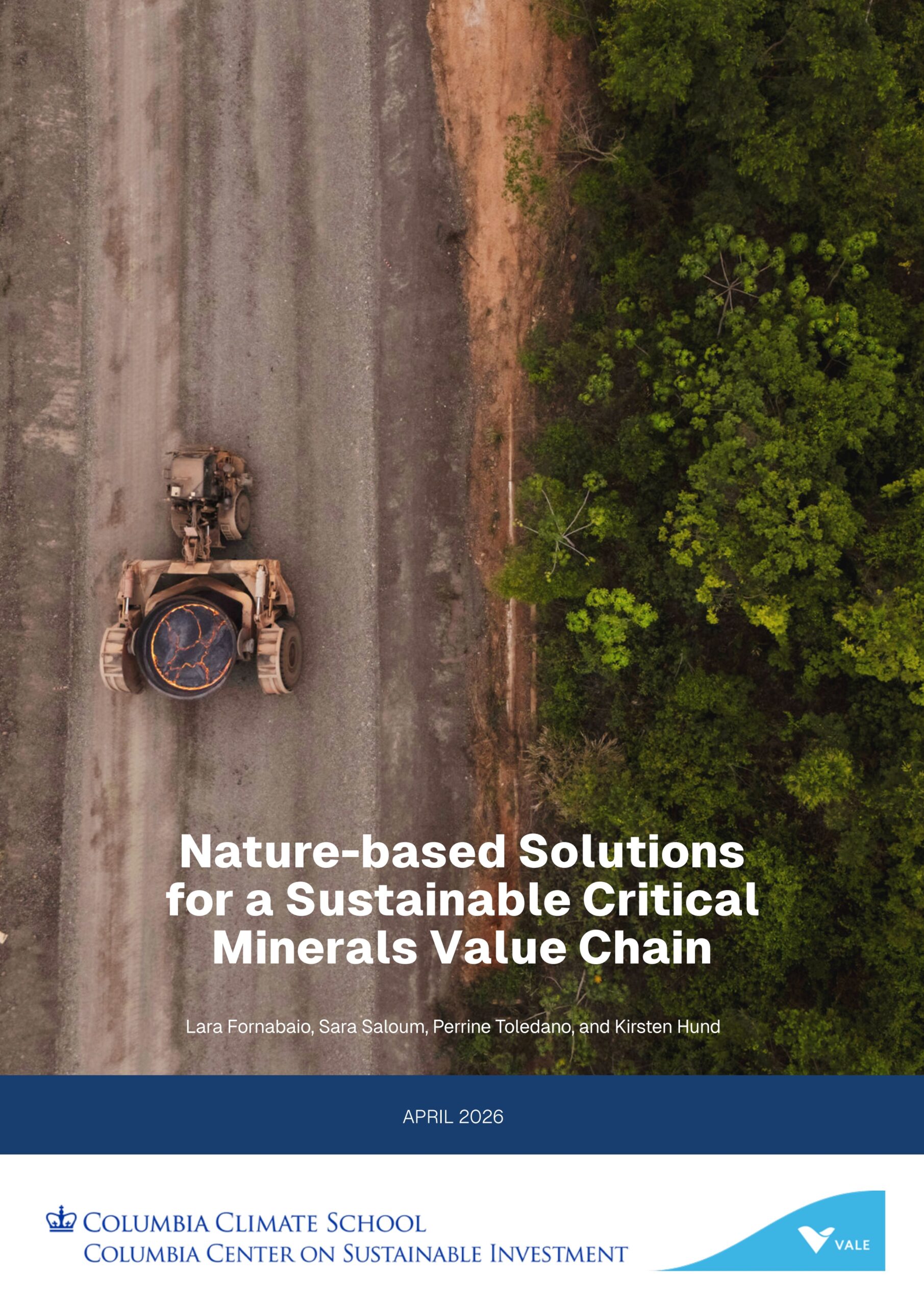Nature-based solutions for a sustainable critical minerals value chain
