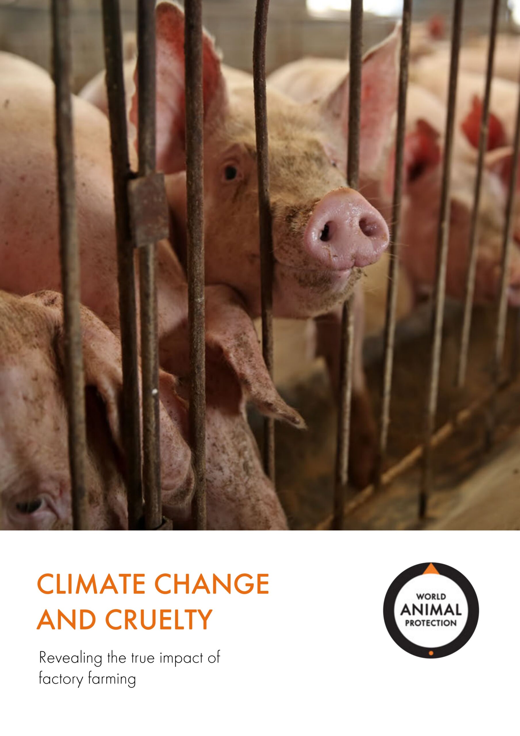 Climate change and cruelty: Revealing the true impact of factory farming
