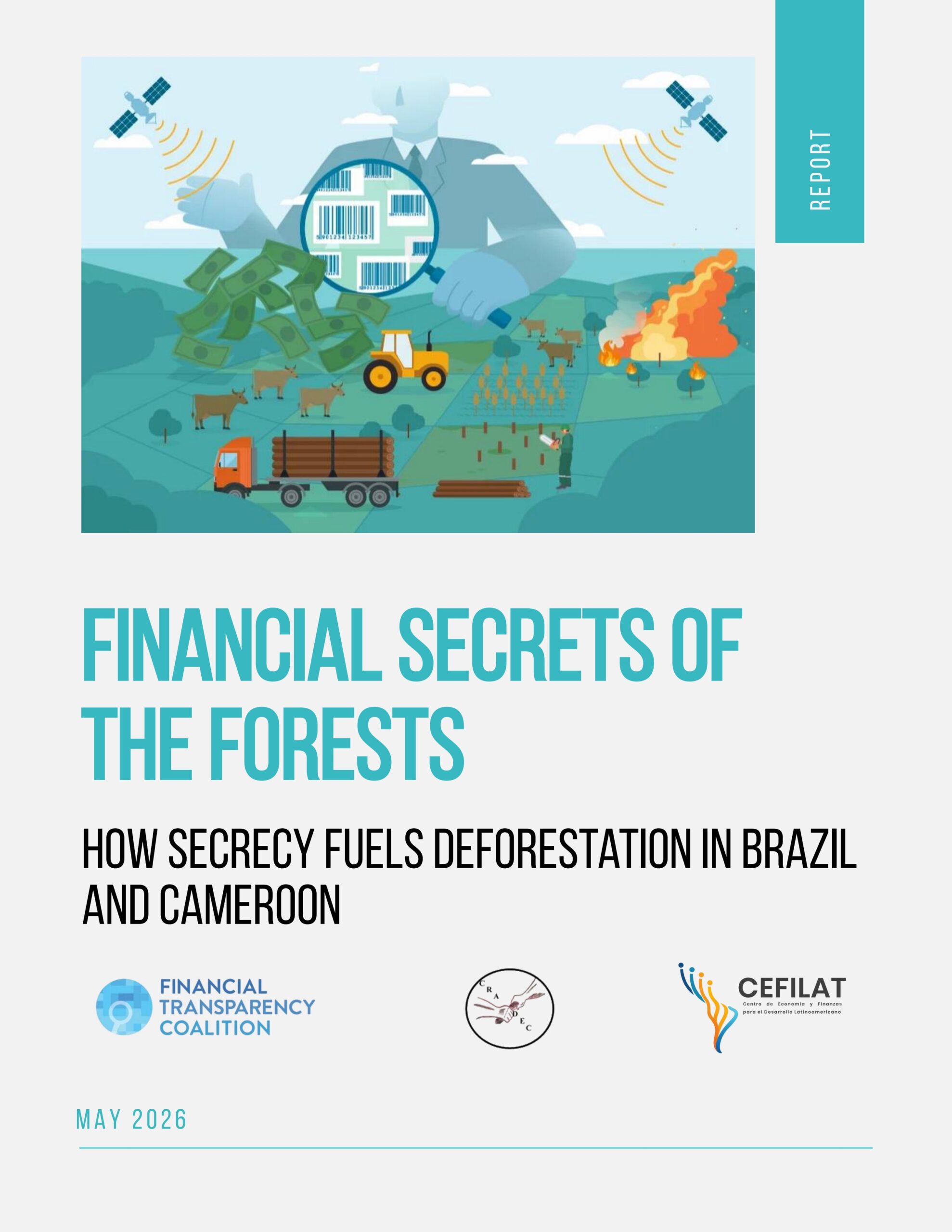 Financial secrets of the forests: How secrecy fuels deforestation in Brazil and Cameroon