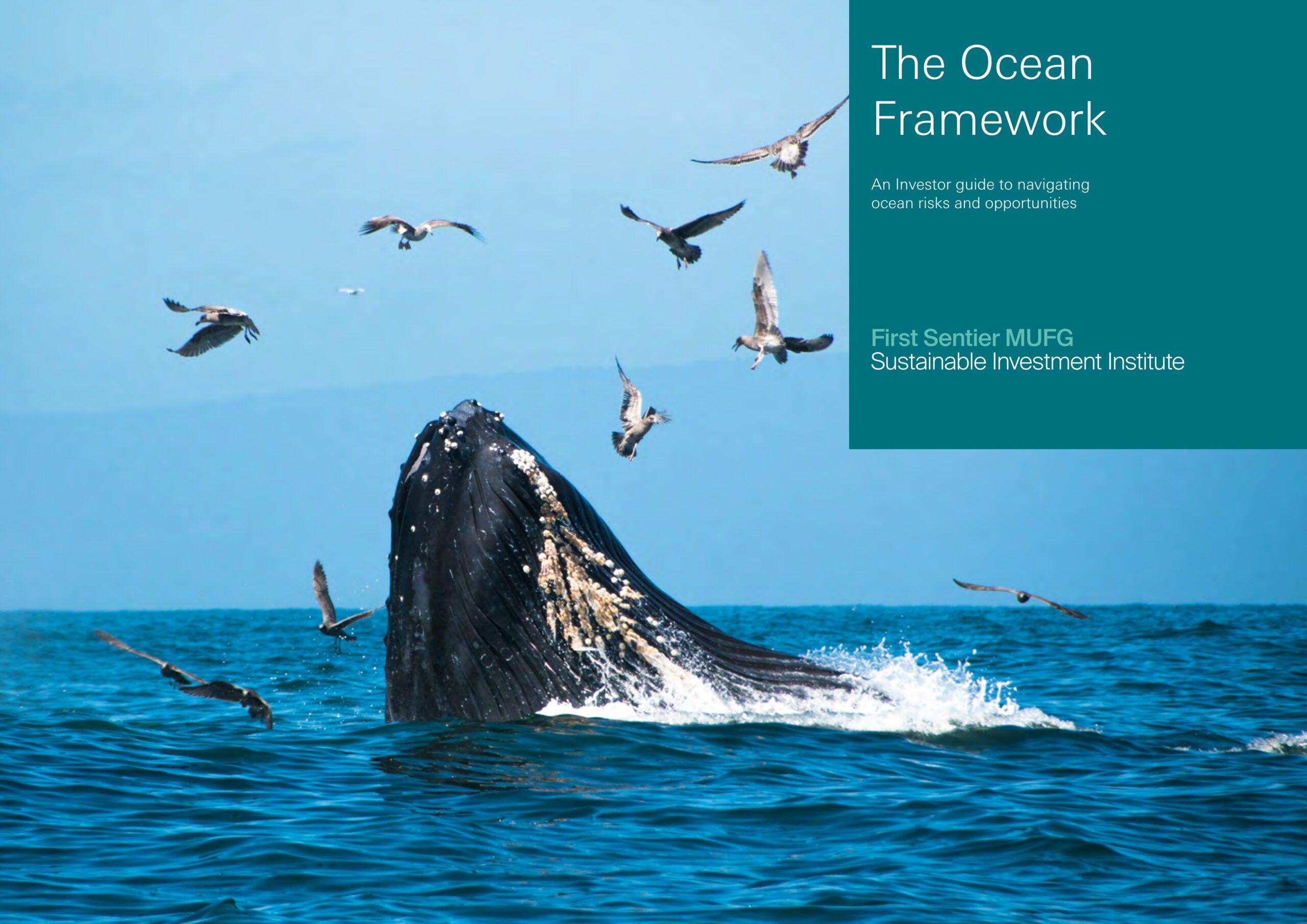 The Ocean framework: An investor guide to navigating ocean risks and opportunities