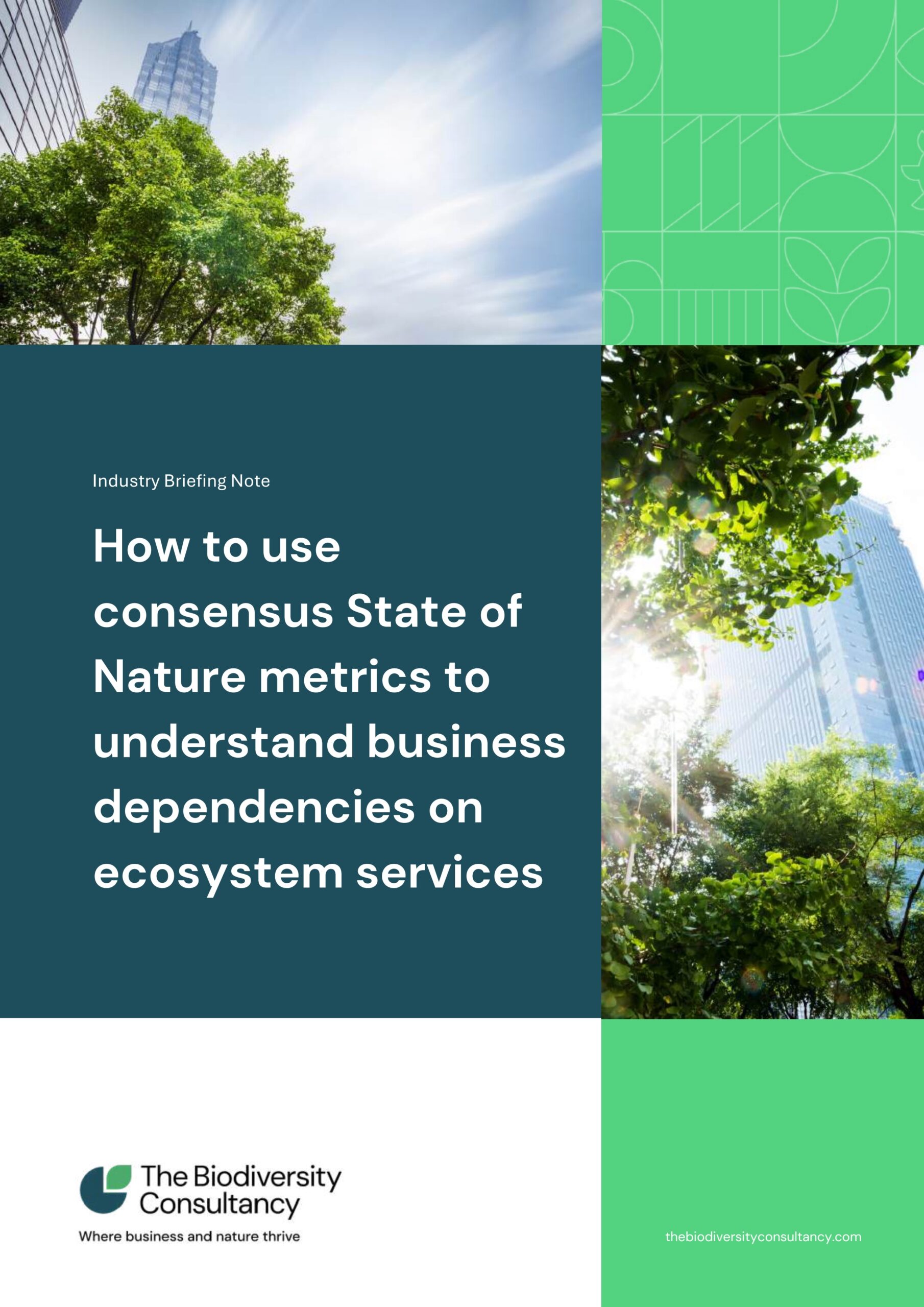 How to use consensus state of nature metrics to understand business dependencies on ecosystem services