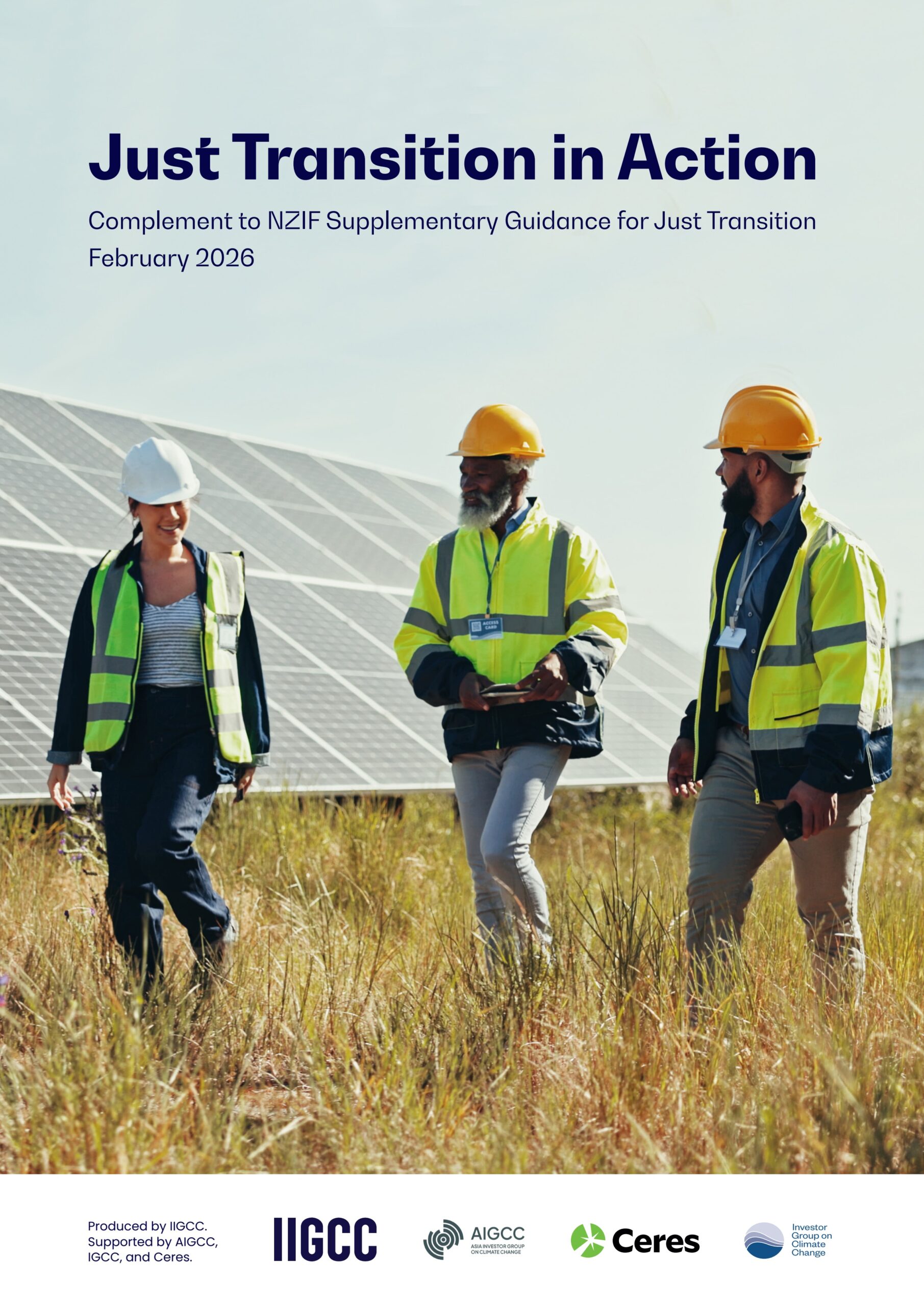 Just transition in action: Complement to NZIF supplementary guidance for just transition