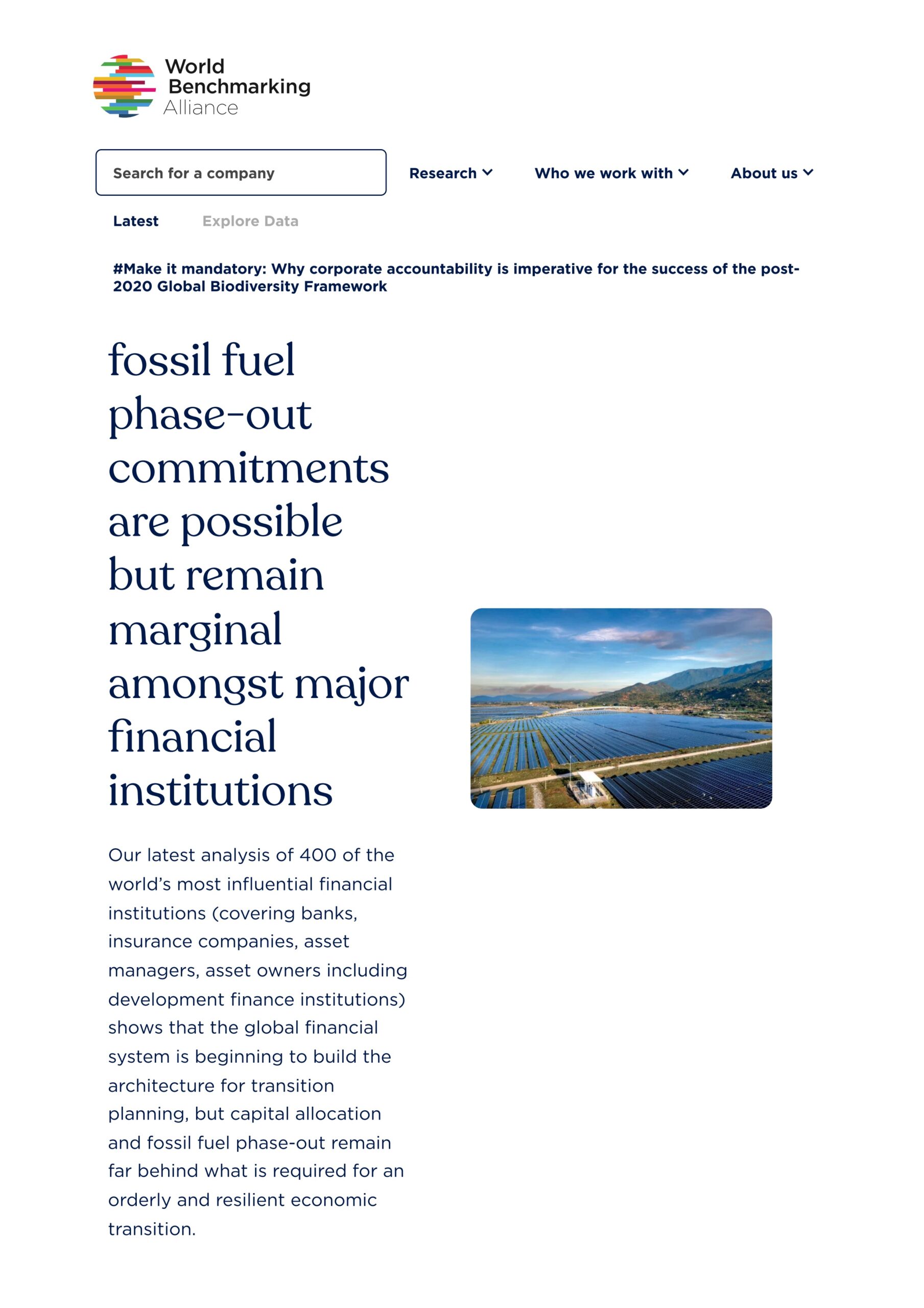 Credible climate financing and fossil fuel phase-out commitments are possible but remain marginal amongst major financial institutions