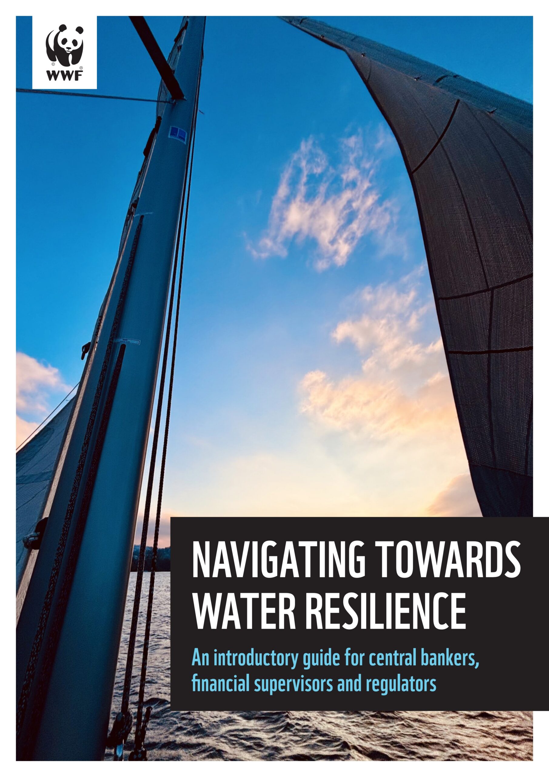 Navigating towards water resilience: An introductory guide for central bankers, financial supervisors and regulators