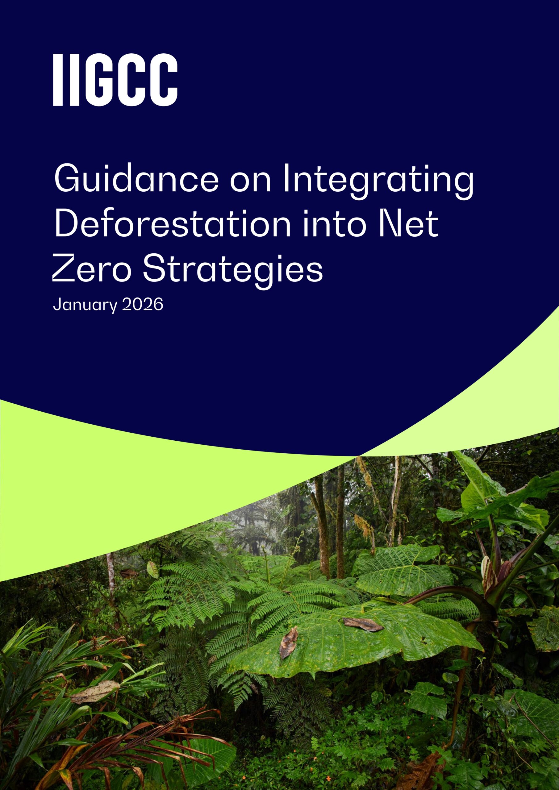 Guidance on integrating deforestation into net zero strategies