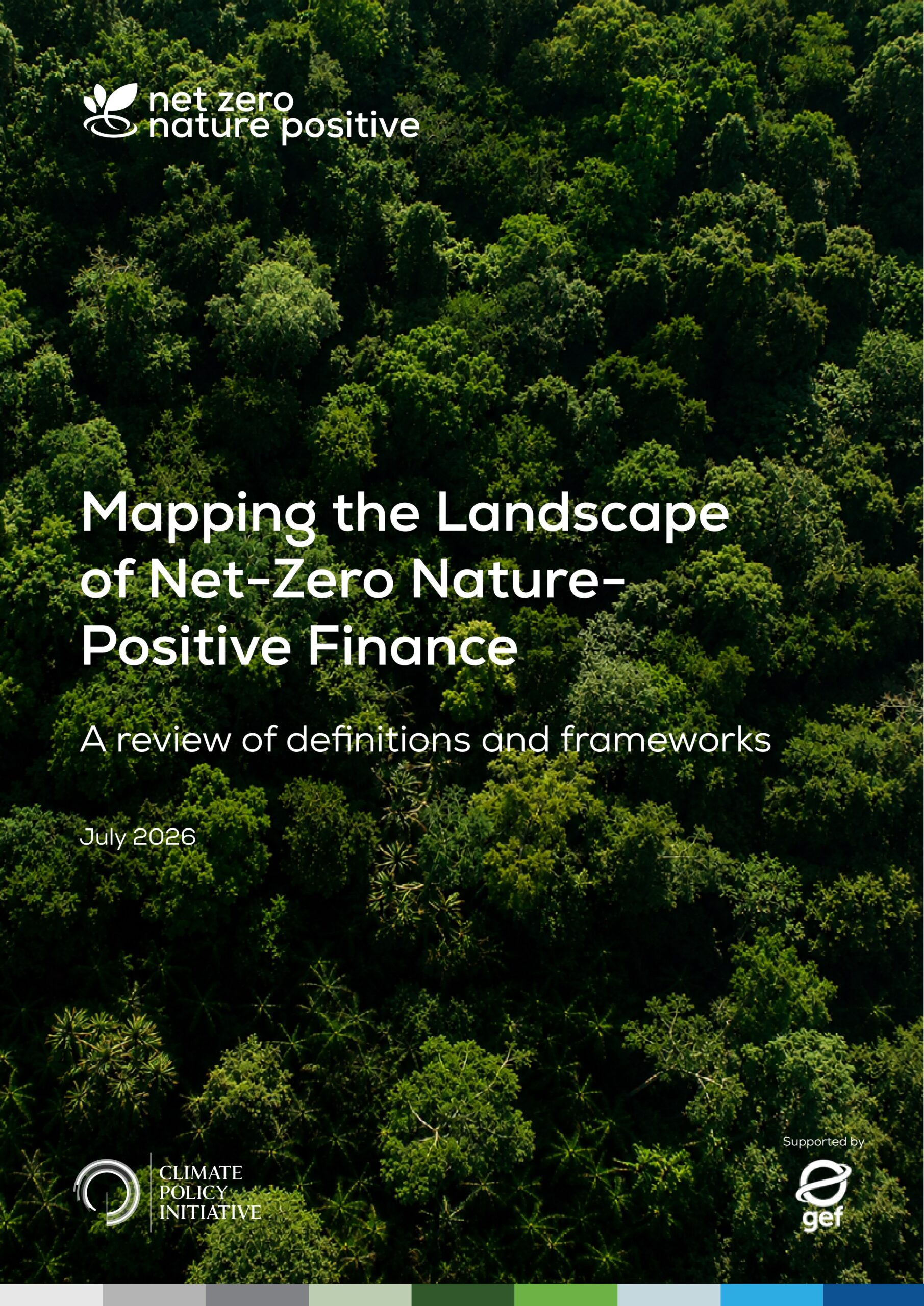 Mapping the landscape of net-zero nature-positive finance: A review of definitions and frameworks