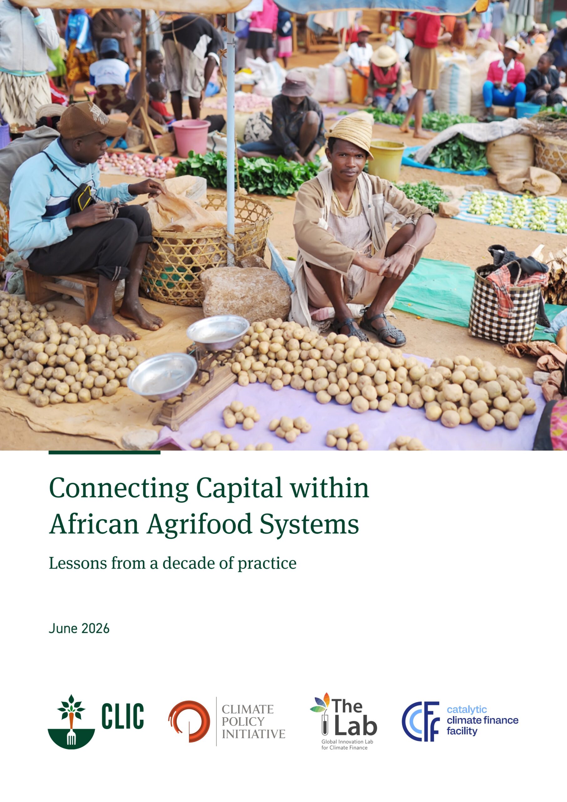 Connecting capital within African agrifood systems: Lessons from a decade of practice