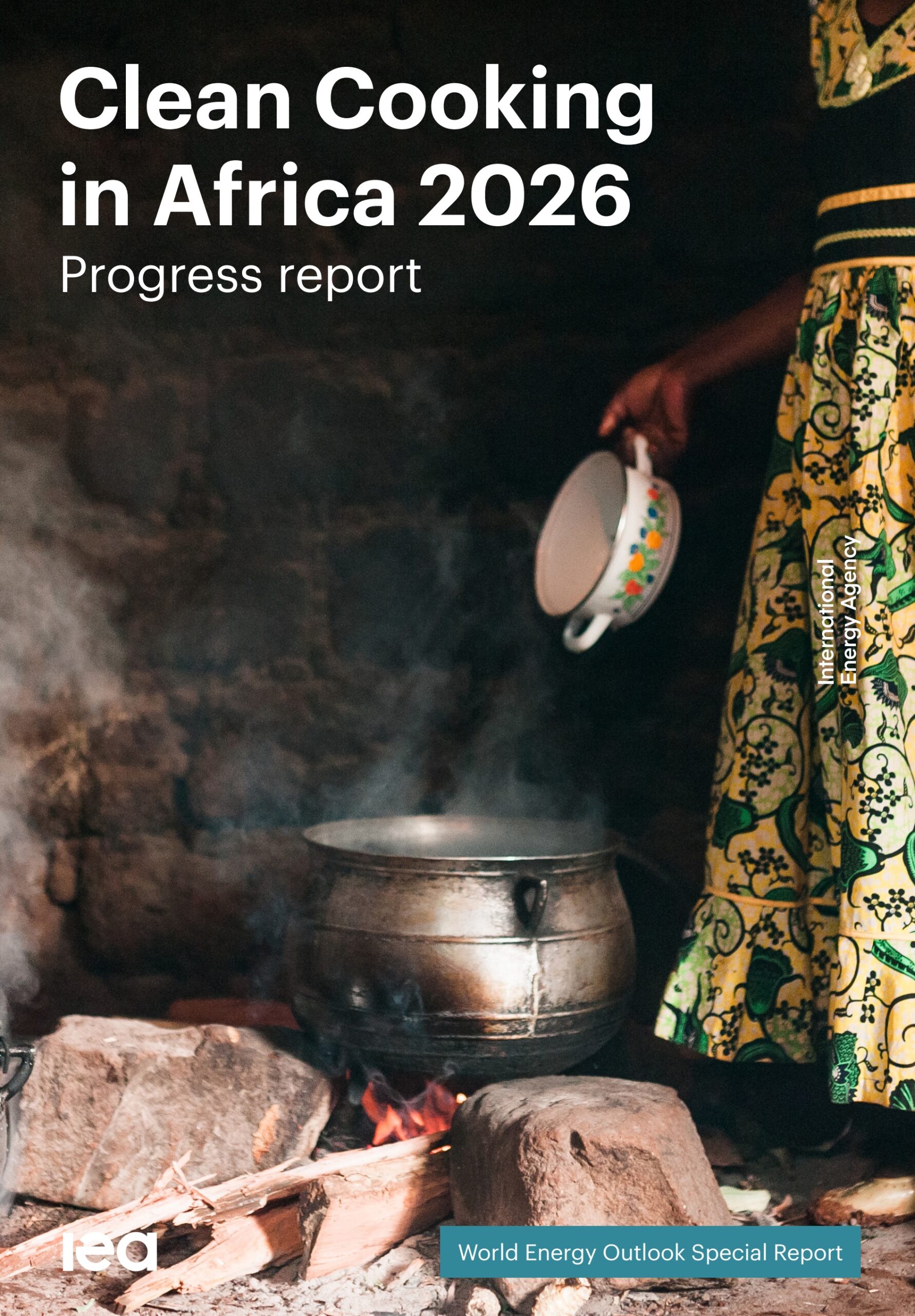 Clean cooking in Africa 2026: Progress report