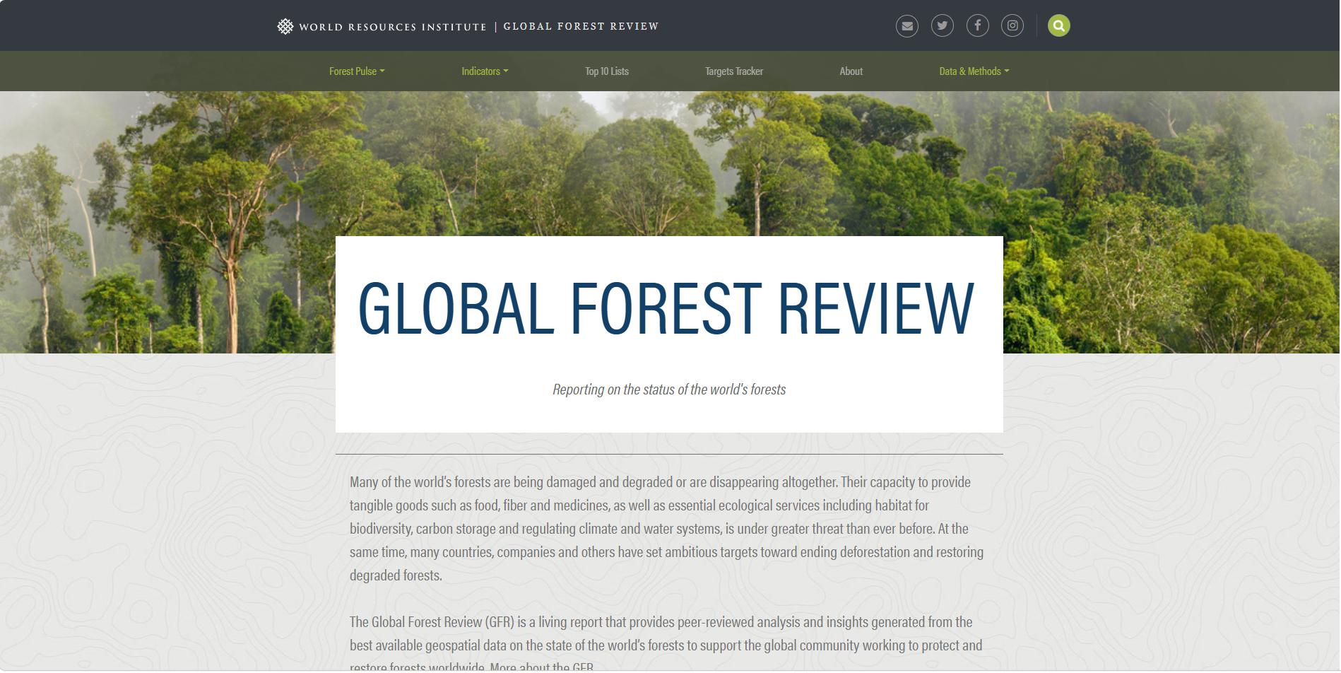 Global Forest Review