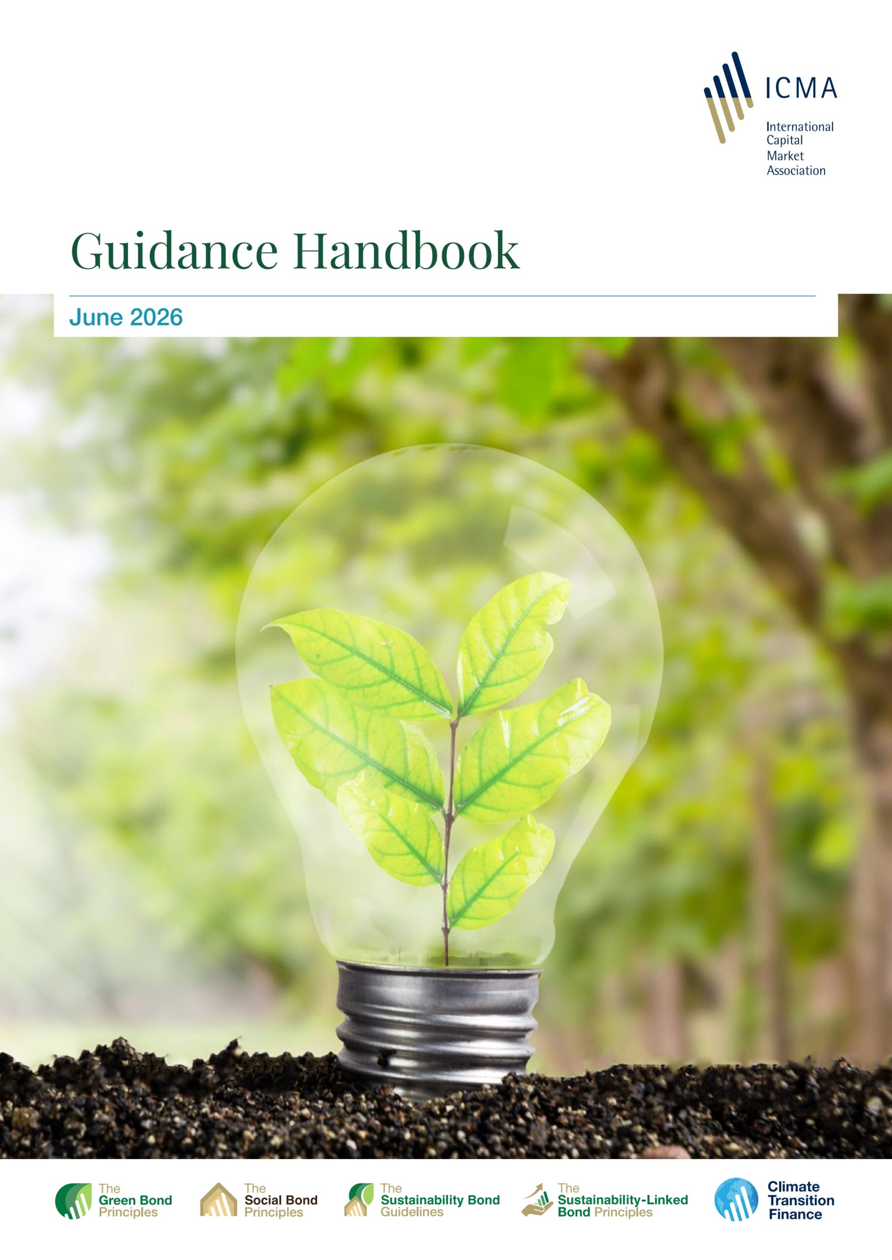 ICMA's guidance handbooks series