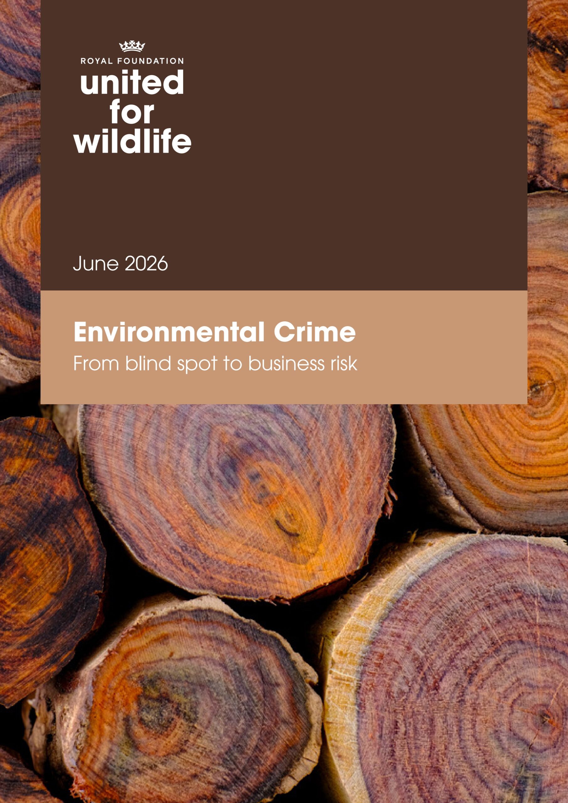 Environmental crime: From blind spot to business risk