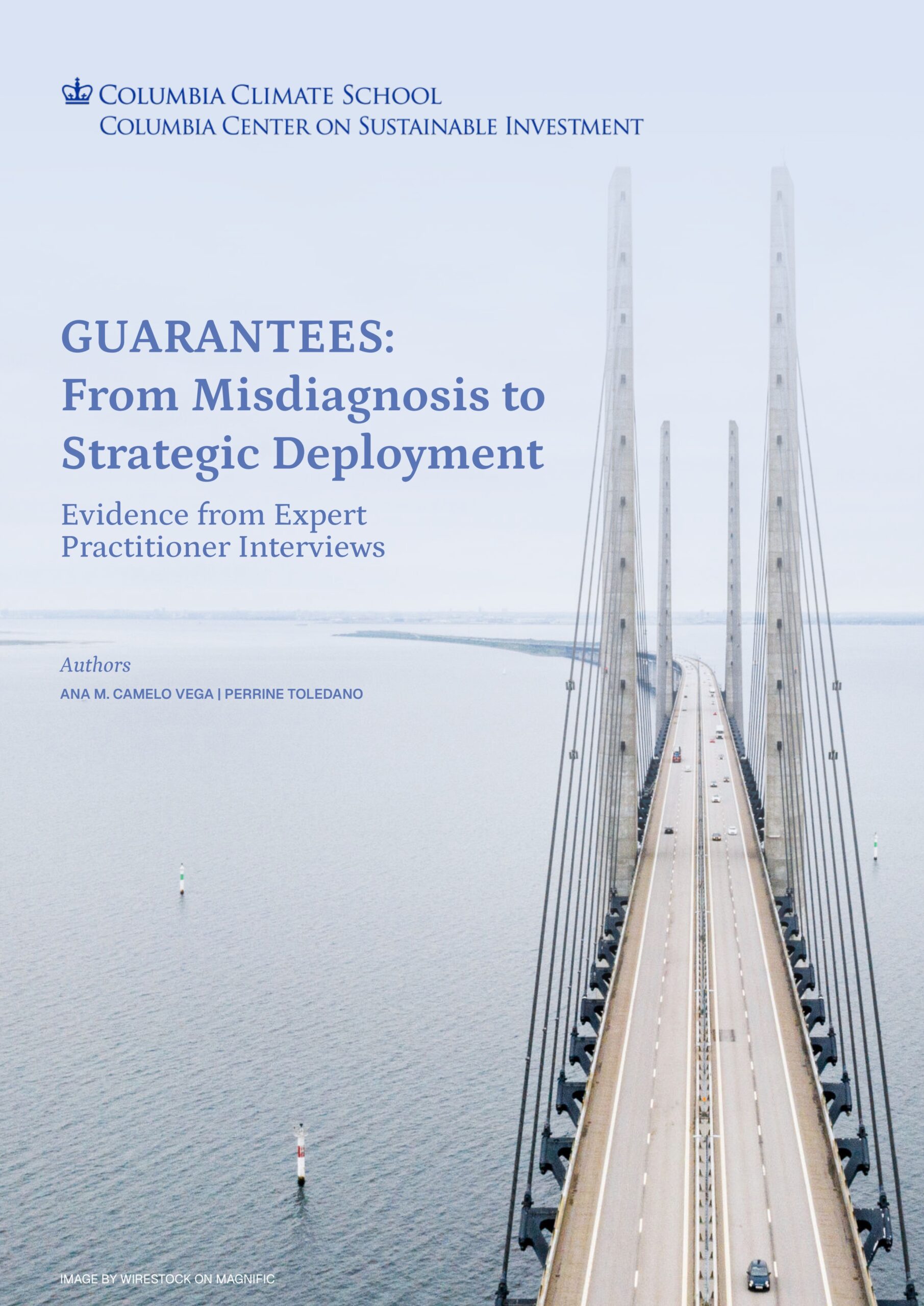 Guarantees: From misdiagnosis to strategic deployment: Evidence from expert practitioner interviews