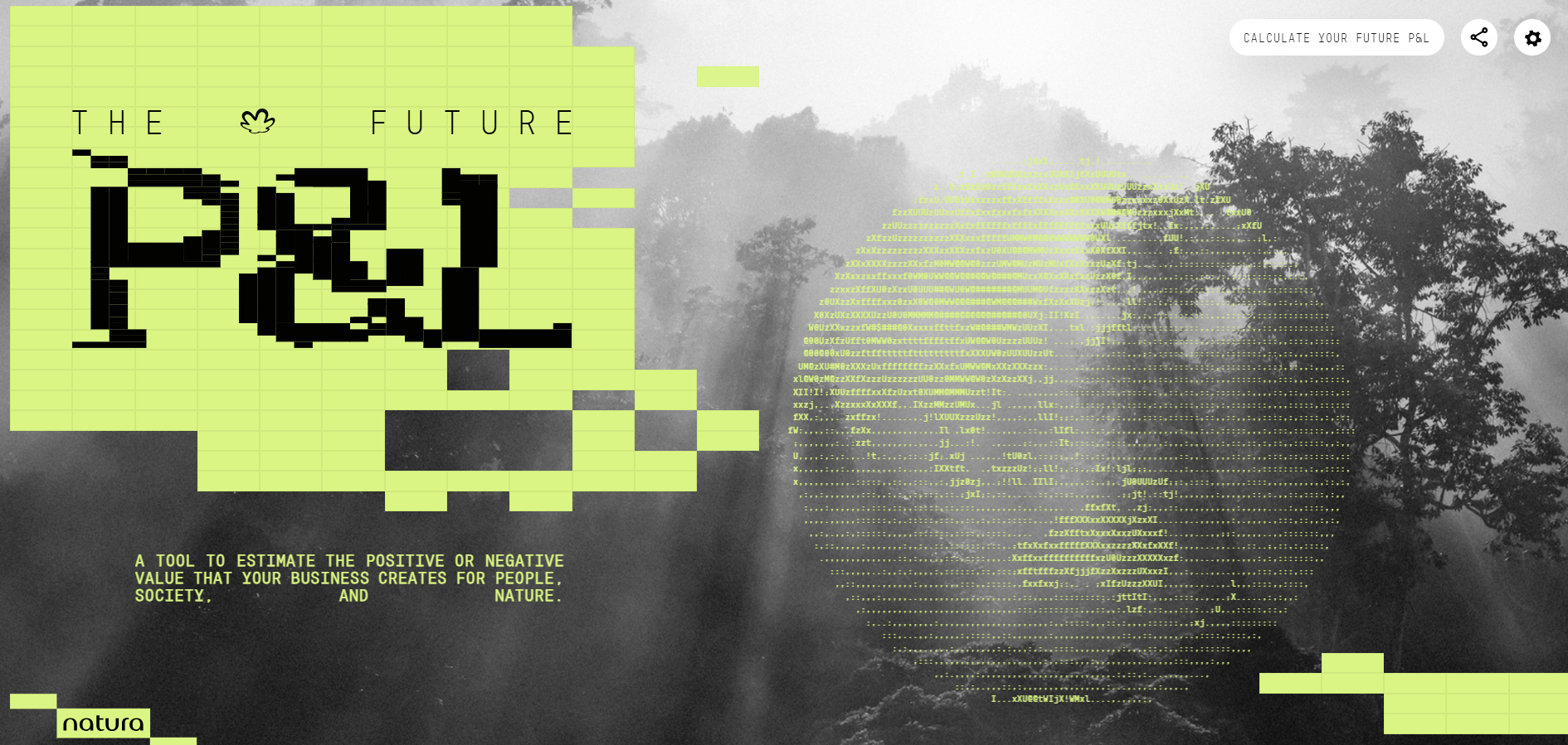 Natura Future P&L Tool