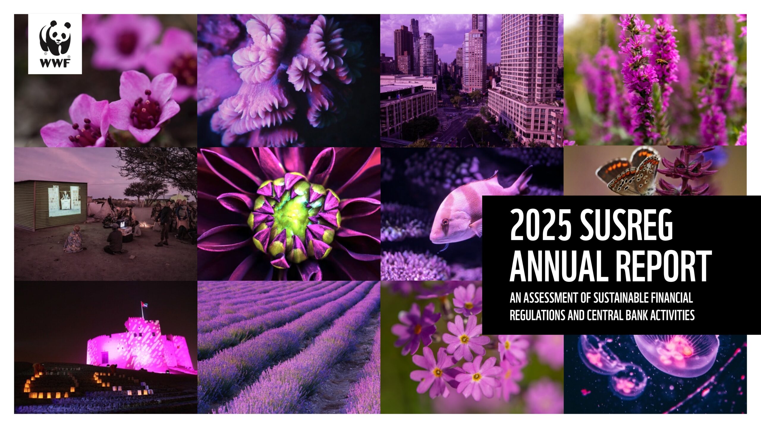 SUSREG annual report series