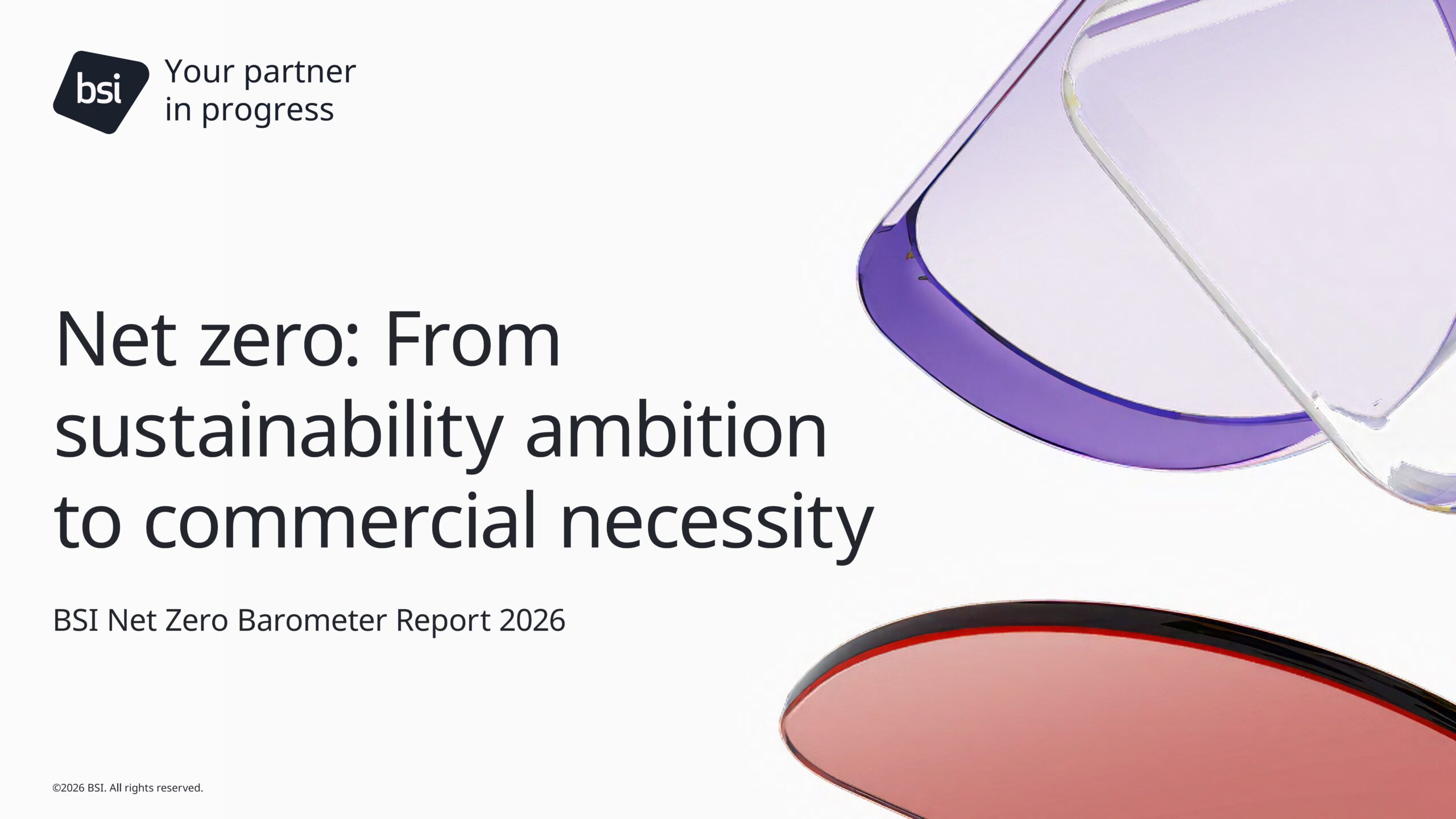 BSI Net Zero Barometer Report Series