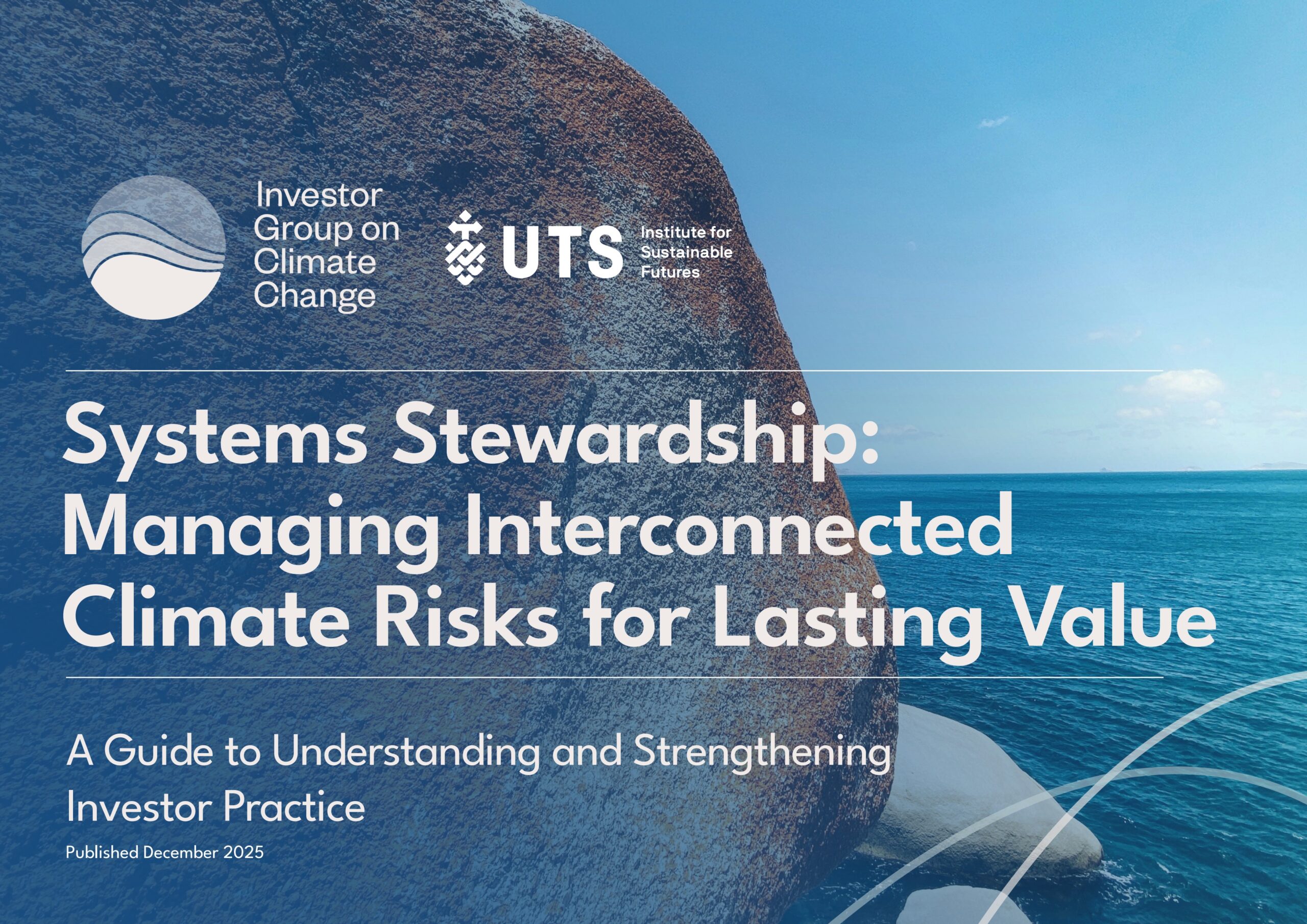 Systems stewardship: Managing interconnected climate risks for lasting value