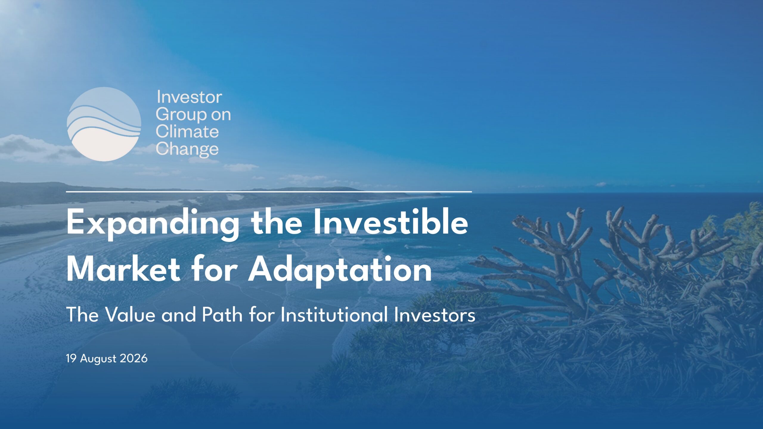 Expanding the investible market for adaptation: The value and path for institutional investors