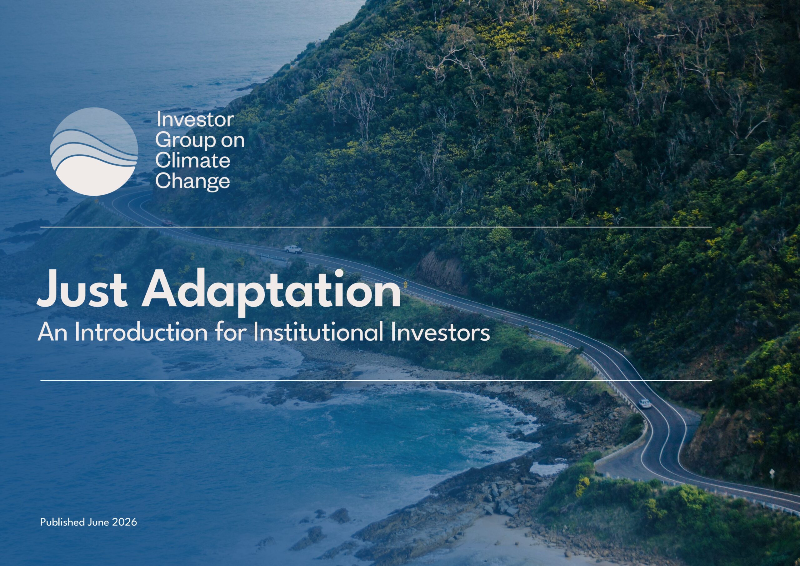 Just adaptation: An introduction for institutional investors