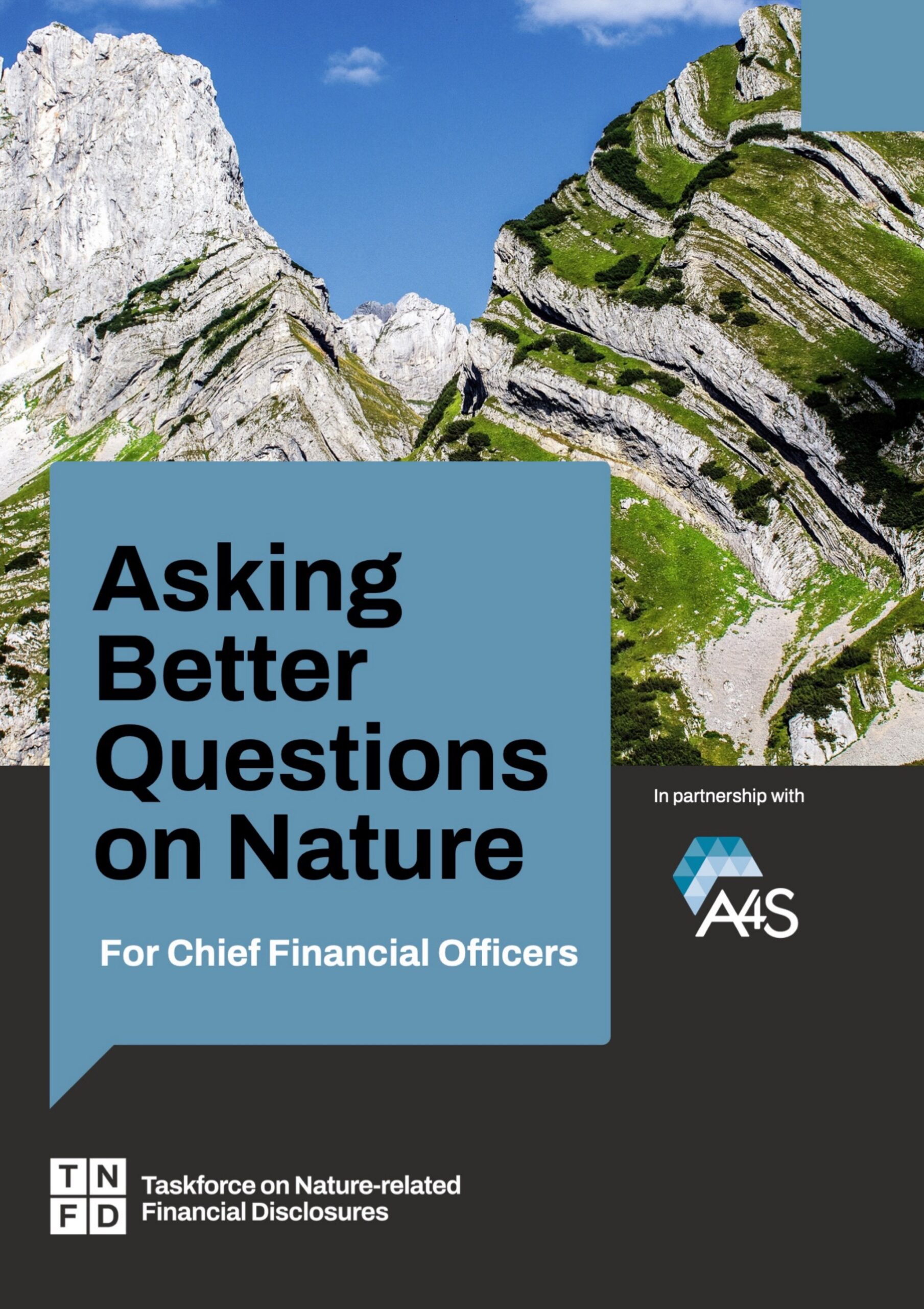 Asking better questions on nature: For chief financial officers