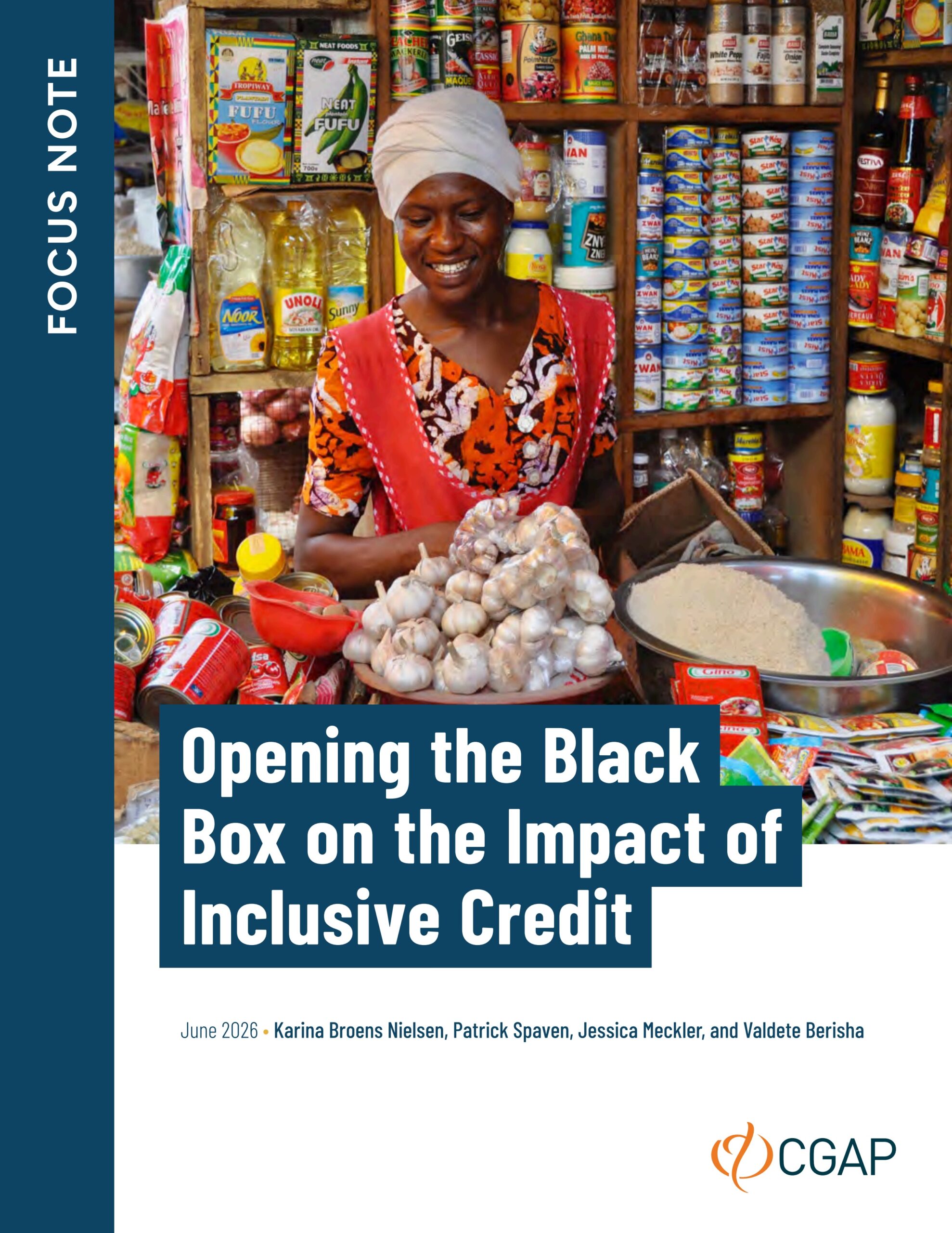 Opening the black box on the impact of inclusive credit