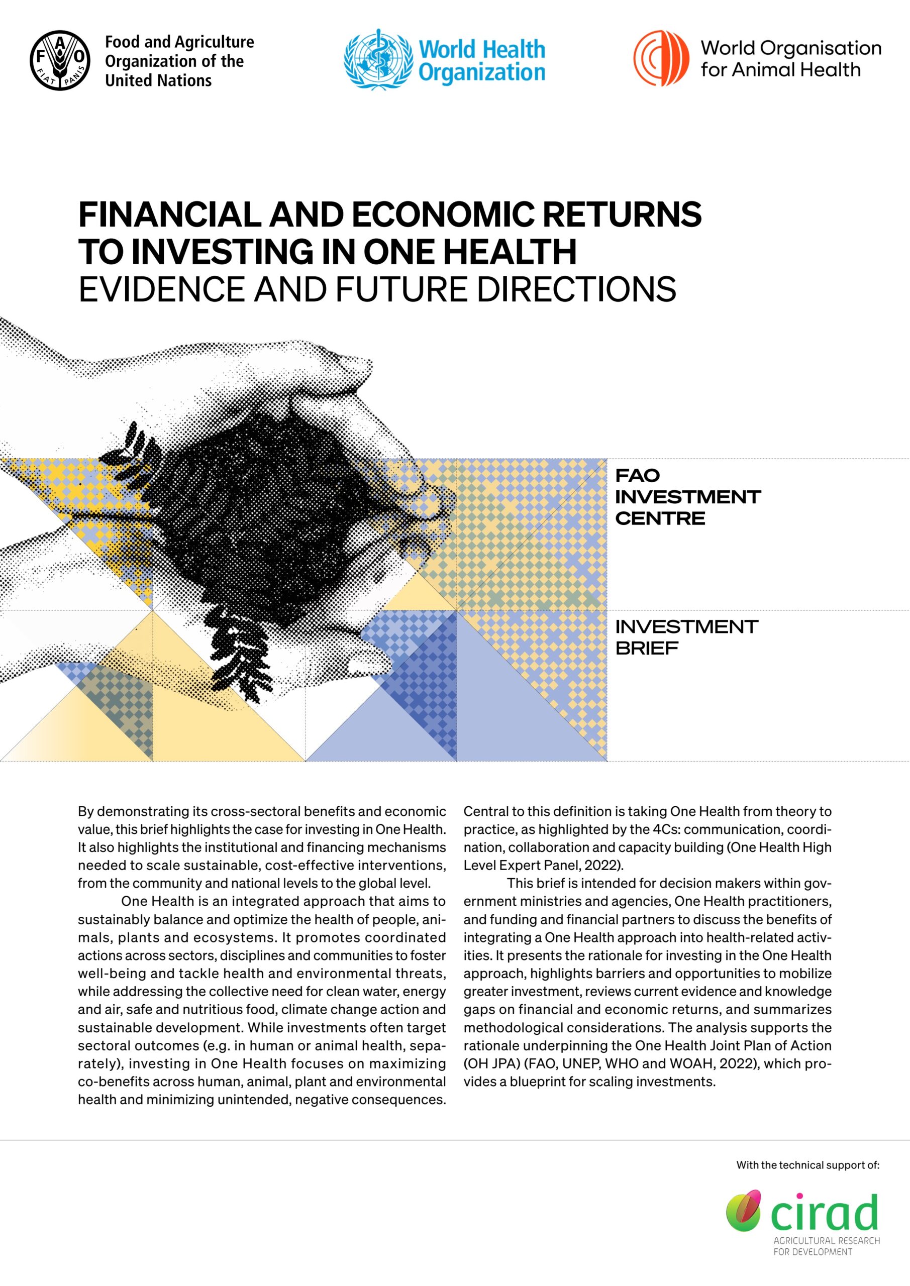 Financial and economic returns to investing in One Health: Evidence and future directions