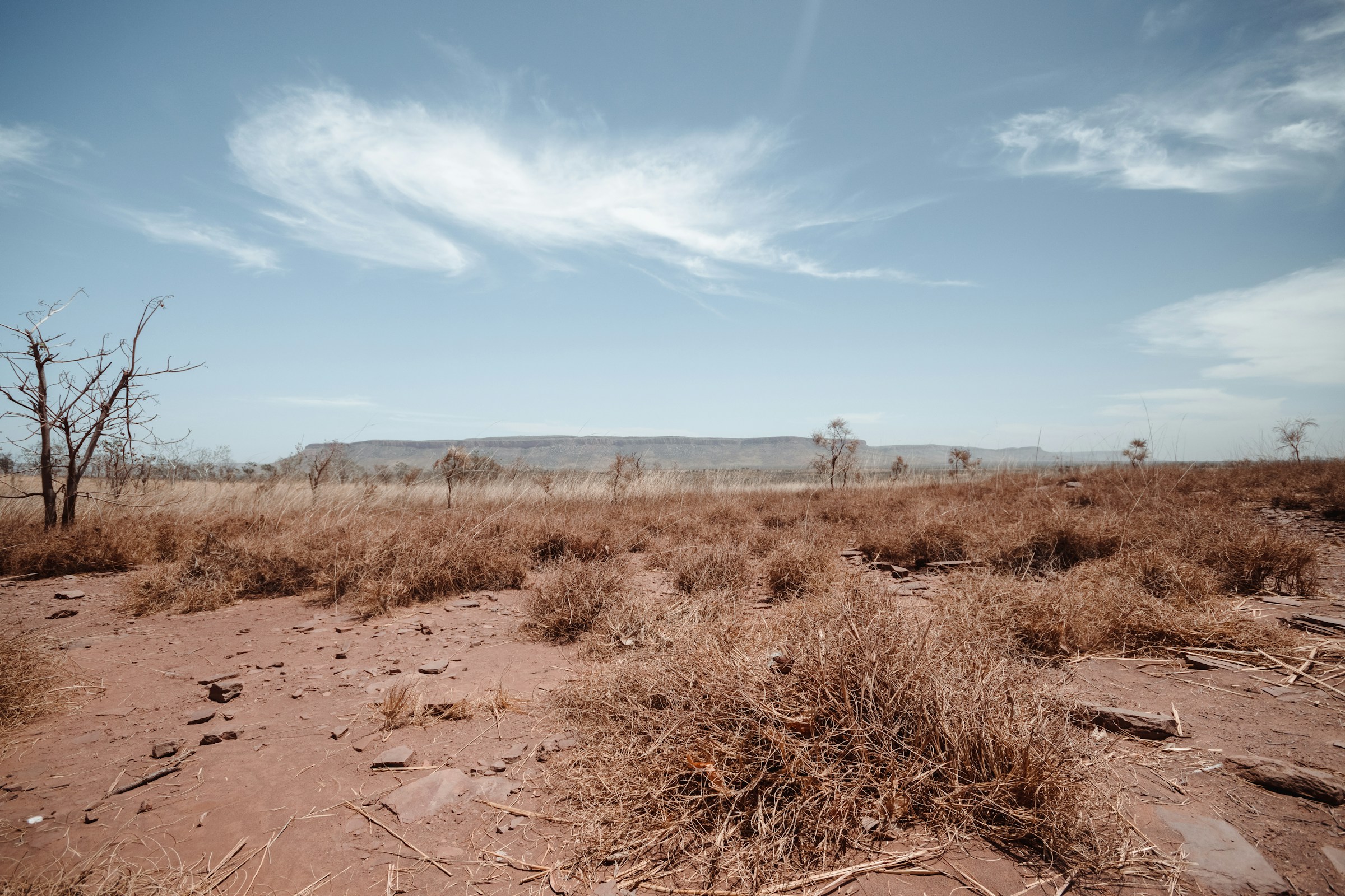Return of the Damned Child: Understanding ENSO in a Changing Climate - Part 1