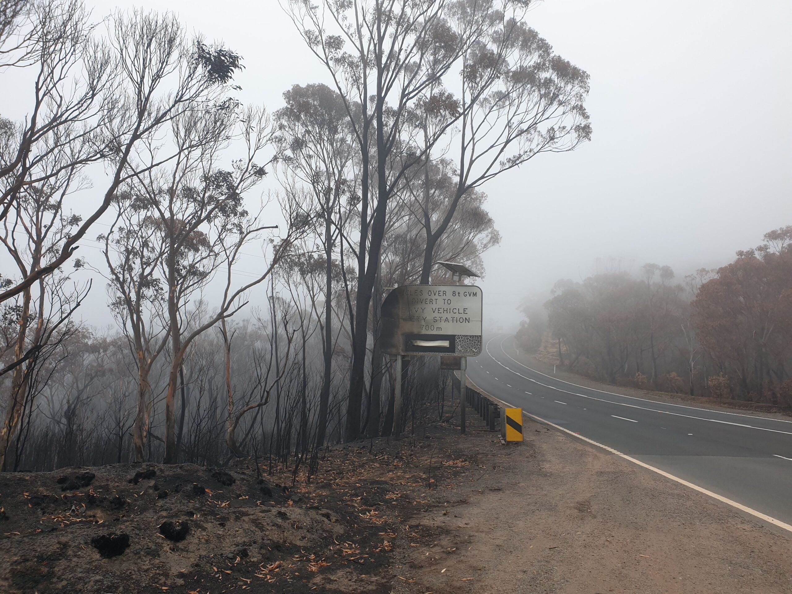 Returned of the Damned Child: How is Climate Change Reshaping ENSO? - Part 2