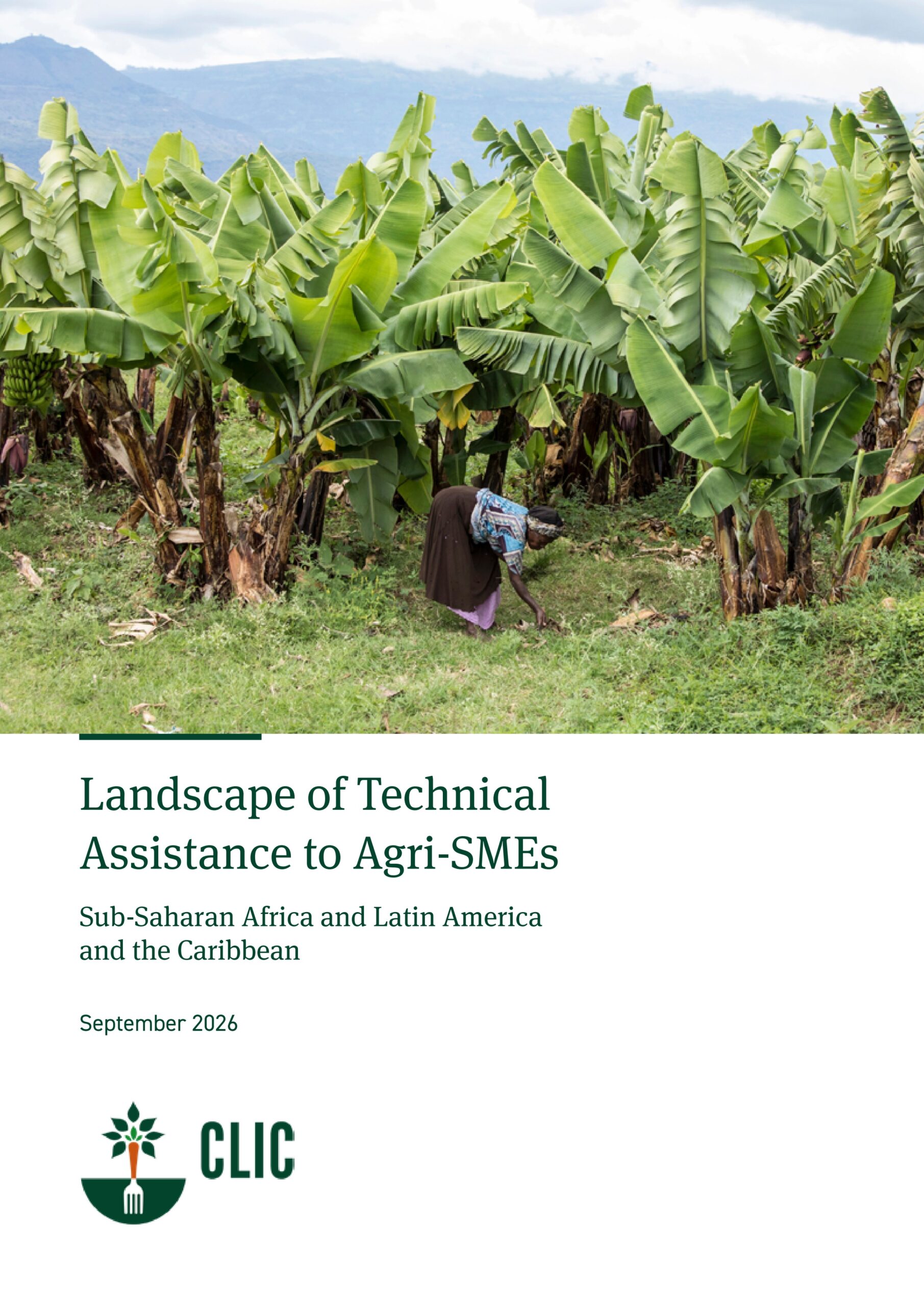 Landscape of technical assistance to agri-SMEs: Sub-Saharan Africa and Latin America and the Caribbean