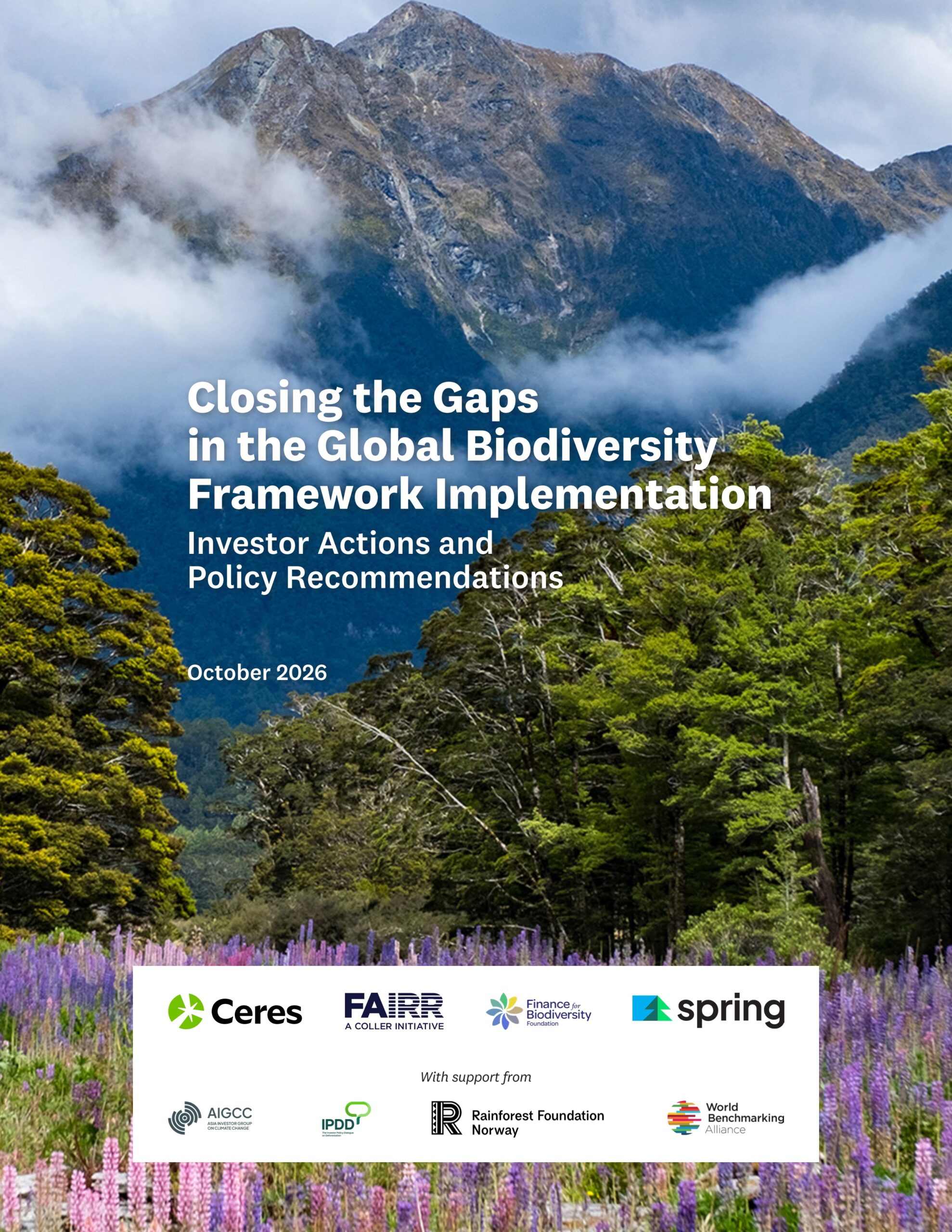 Closing the gaps in the Global Biodiversity Framework implementation: Investor actions and policy recommendations