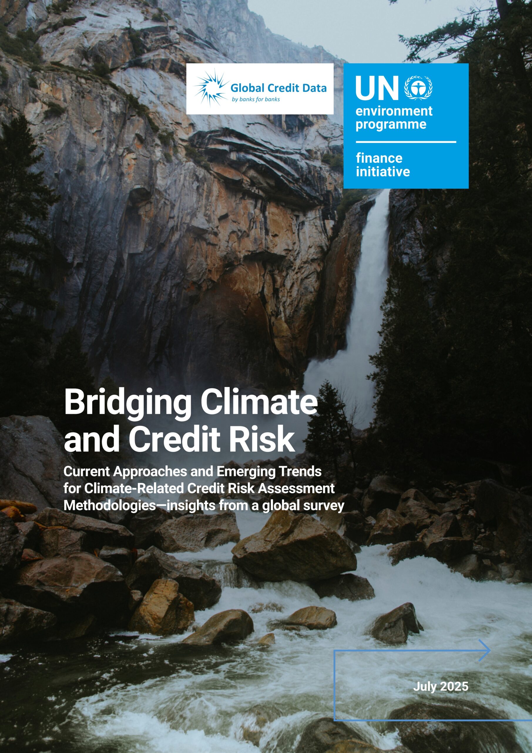 Bridging climate and credit risk: Current approaches and emerging trends for climate-related credit risk assessment methodologies—insights from a global survey