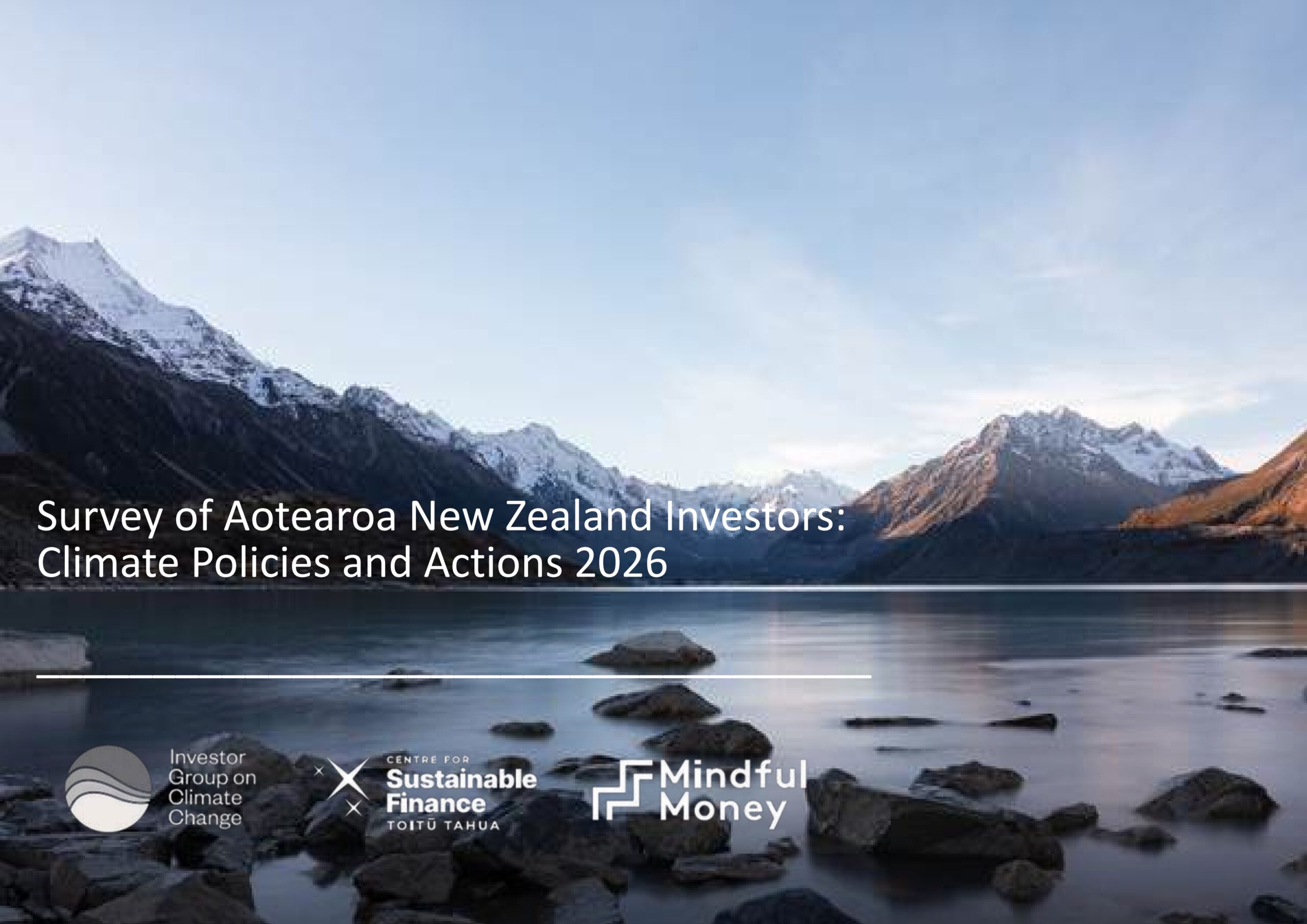 Survey of Aotearoa New Zealand investors: Climate policies and actions series