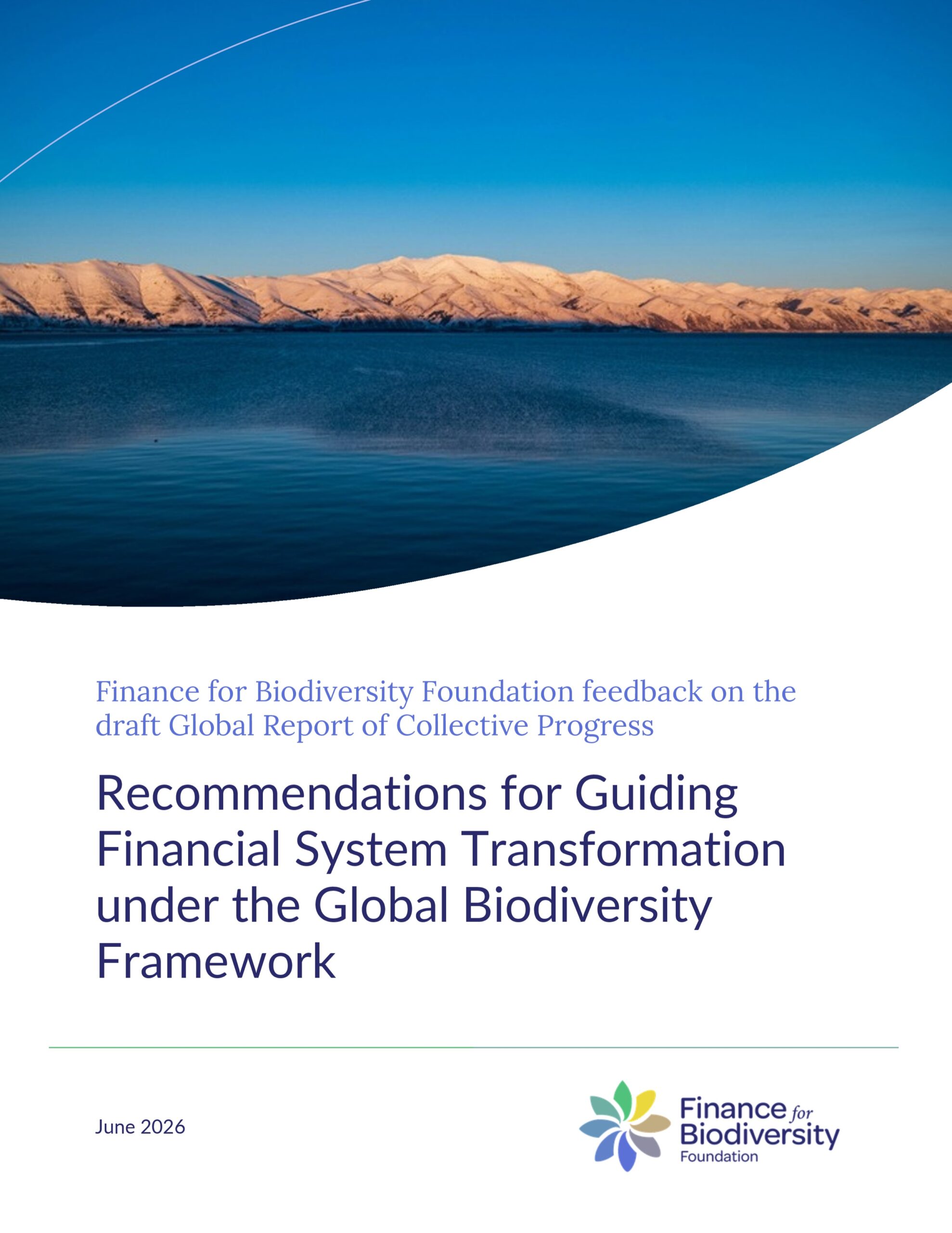 Finance for Biodiversity Foundation feedback on the draft Global Report of Collective Progress: Recommendations for guiding financial system transformation under the Global Biodiversity Framework
