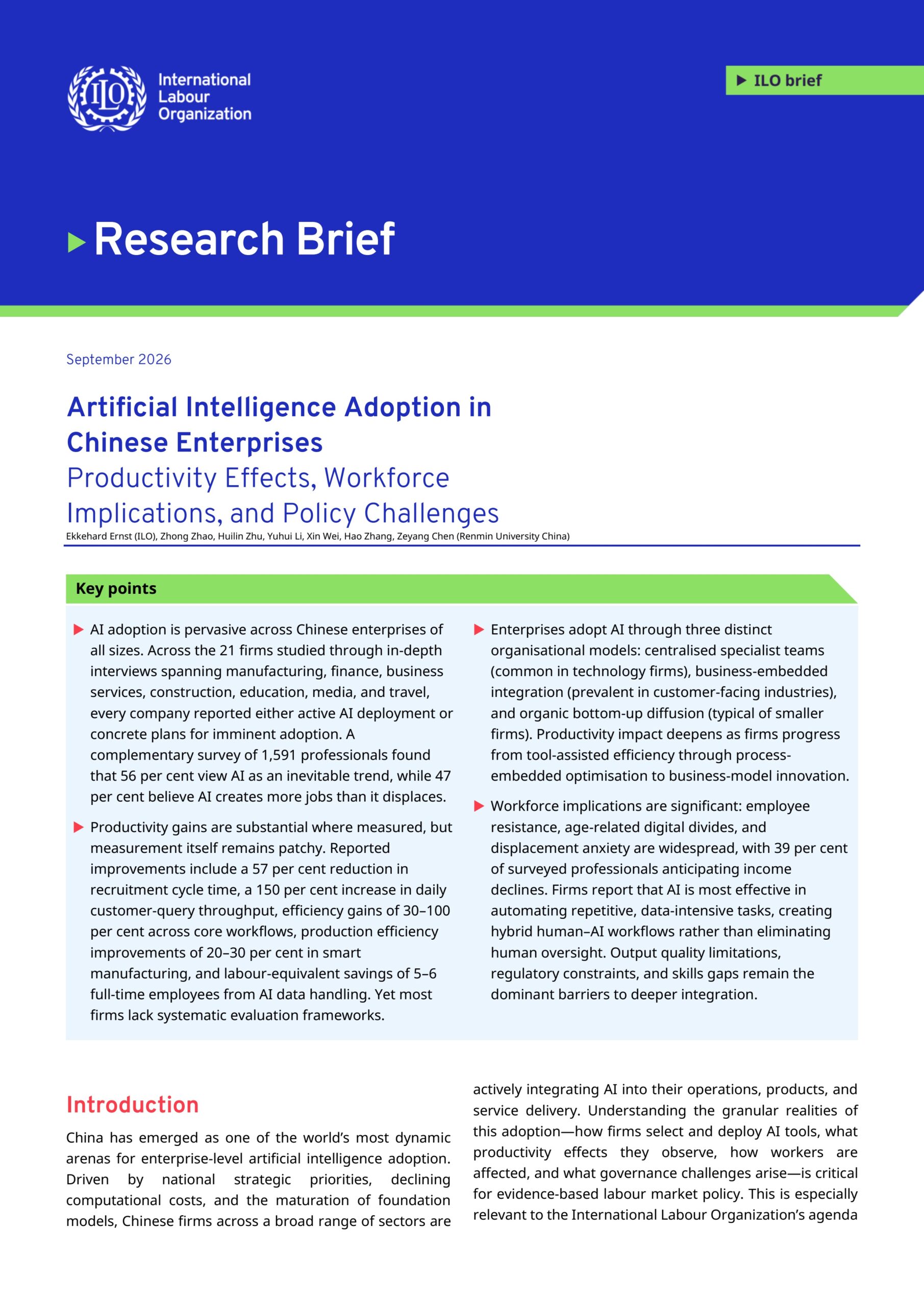 Artificial intelligence adoption in Chinese enterprises: Productivity effects, workforce implications, and policy challenges