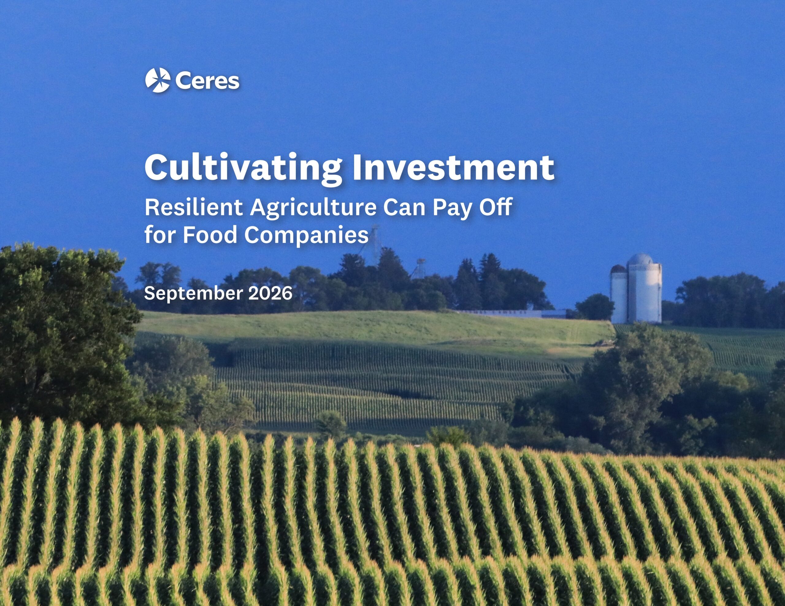 Cultivating investment: Resilient agriculture can pay off for food companies