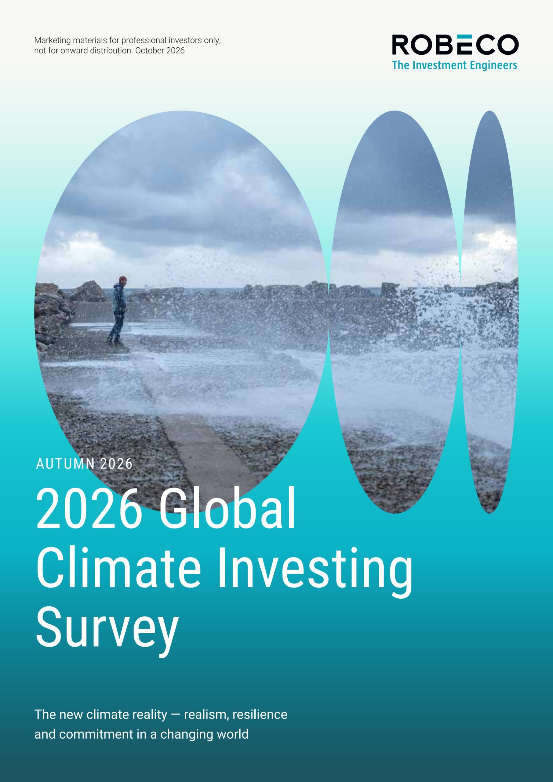 Global climate investing survey series