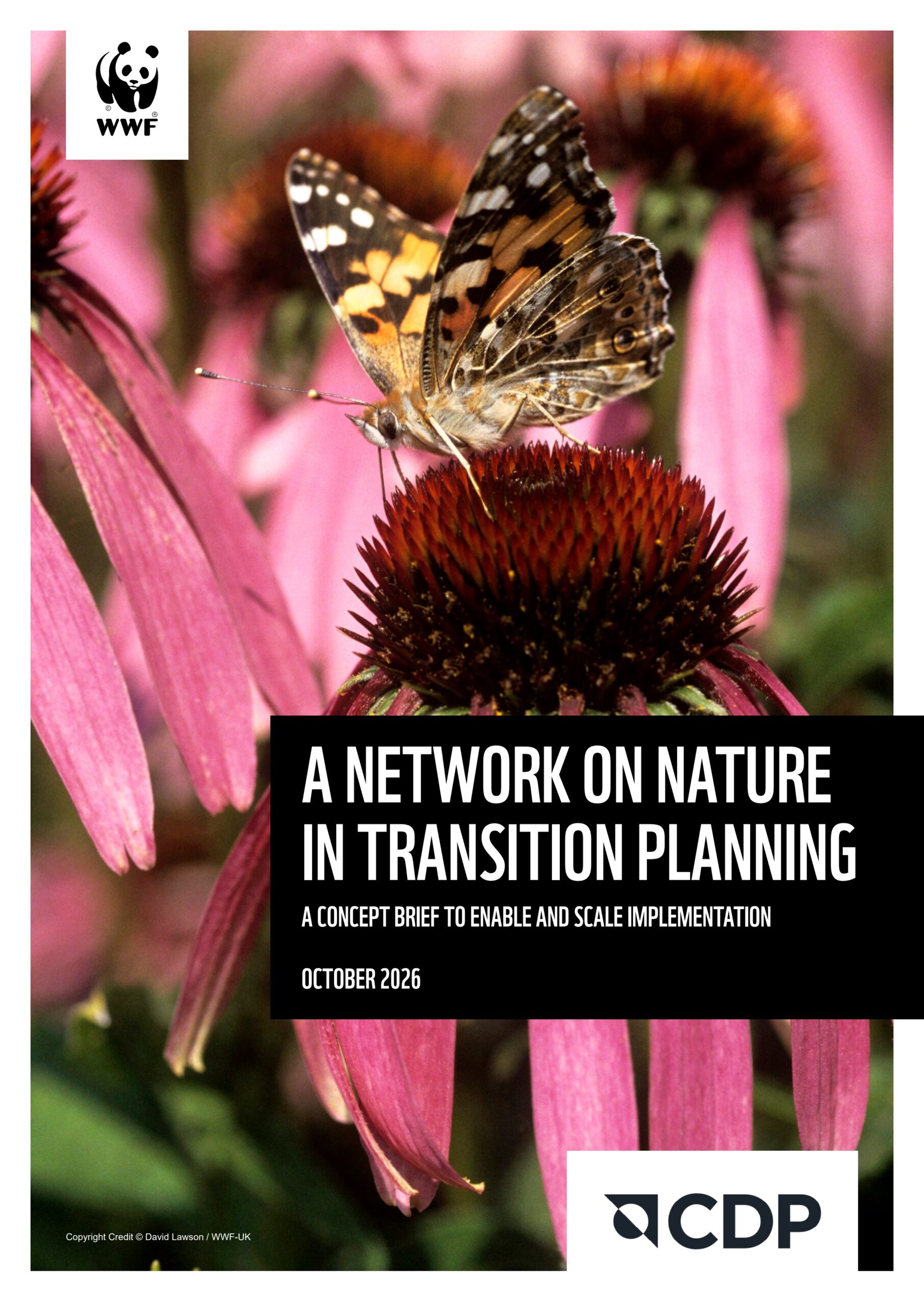 A network on nature in transition planning: A concept brief to enable and scale implementation